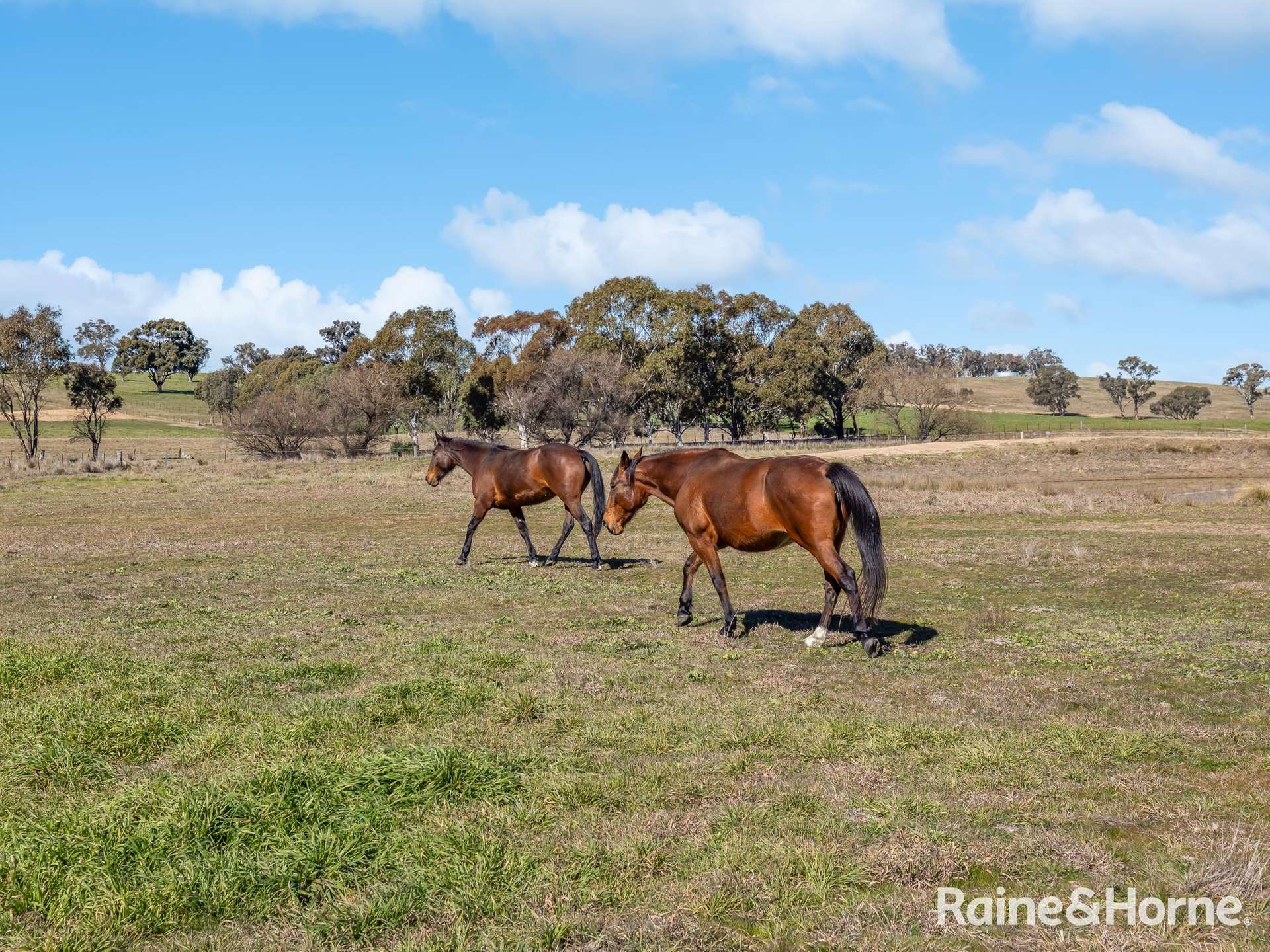 656 Duramana Road, Duramana Auction by Farmbuy.com - image 25