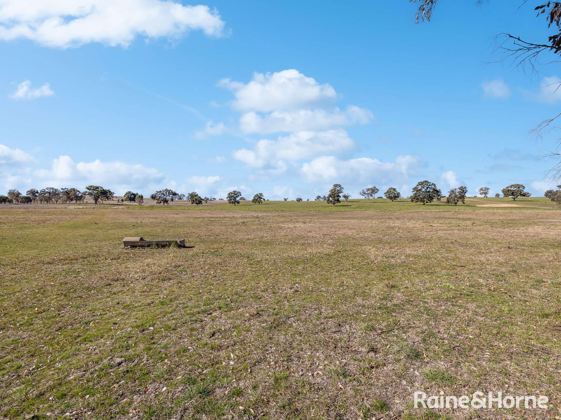 656 Duramana Road, Duramana Auction by Farmbuy.com - image 26