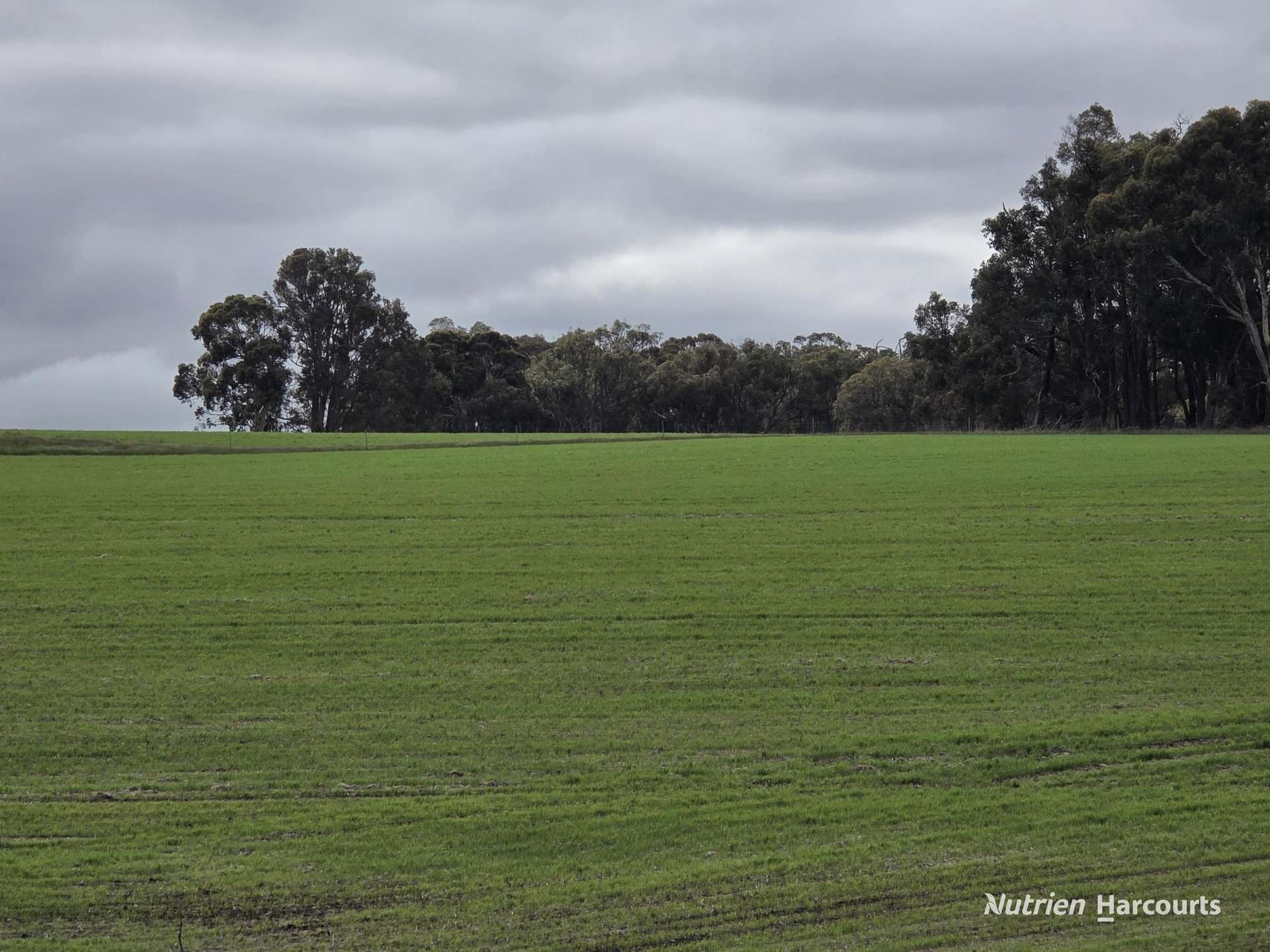 57 Ward Place, Frankland River For Sale by Farmbuy.com - image 21