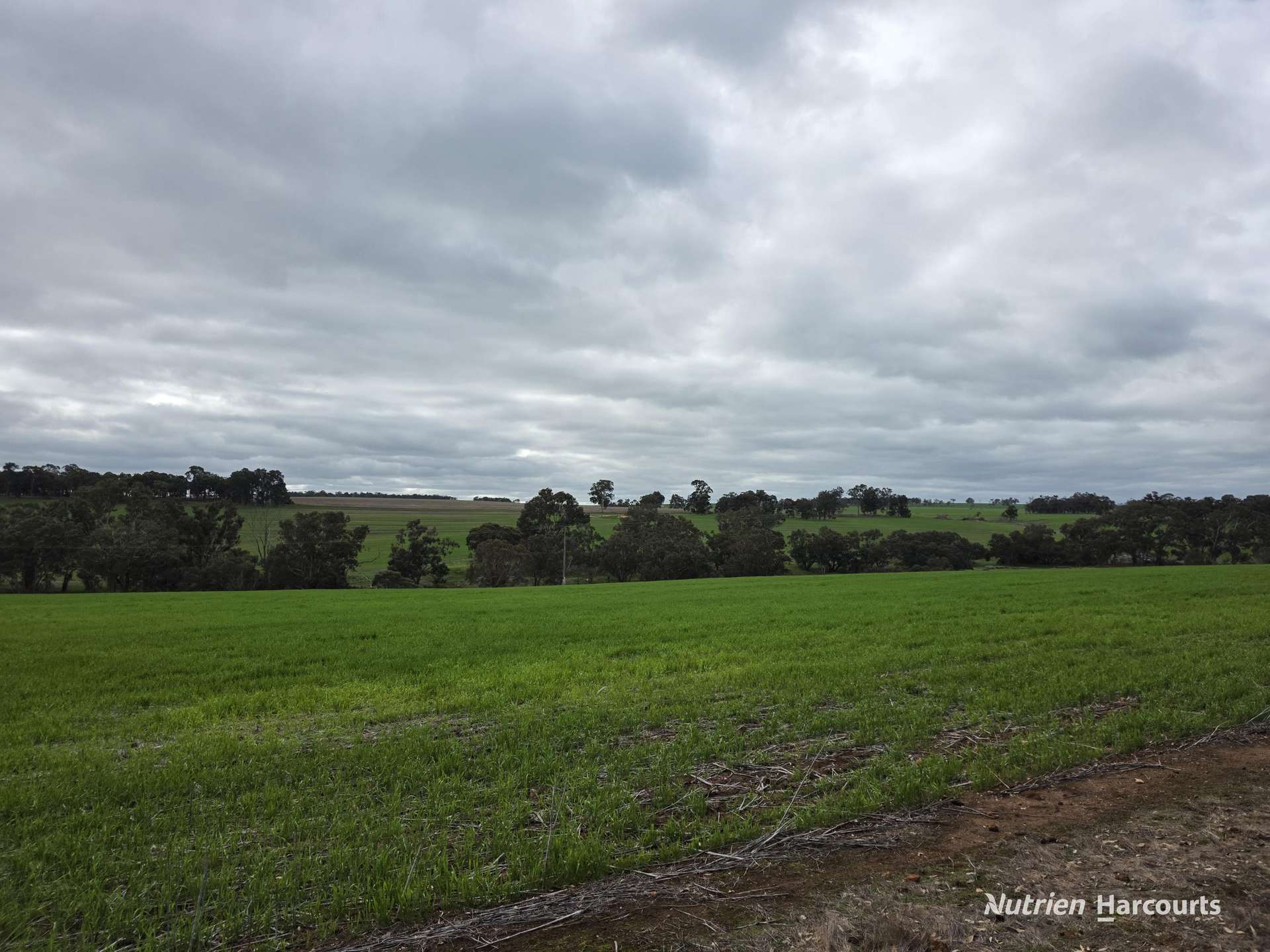 57 Ward Place, Frankland River For Sale by Farmbuy.com - image 20