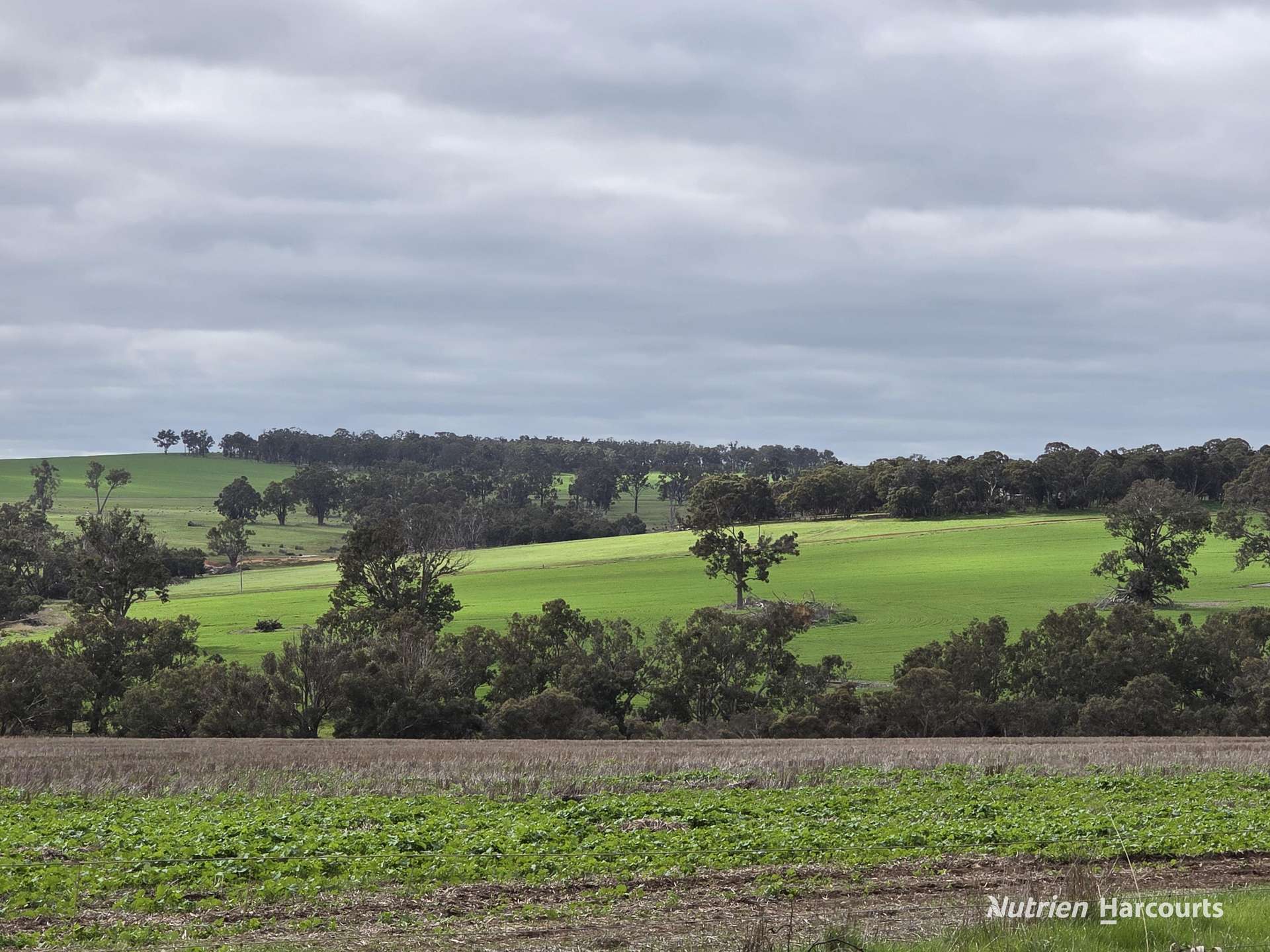 57 Ward Place, Frankland River For Sale by Farmbuy.com - image 25