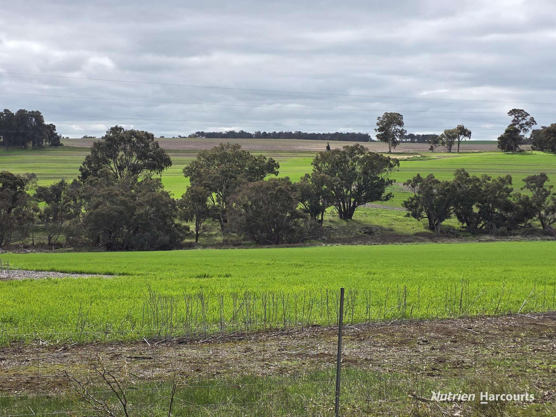 57 Ward Place, Frankland River For Sale by Farmbuy.com - image 23