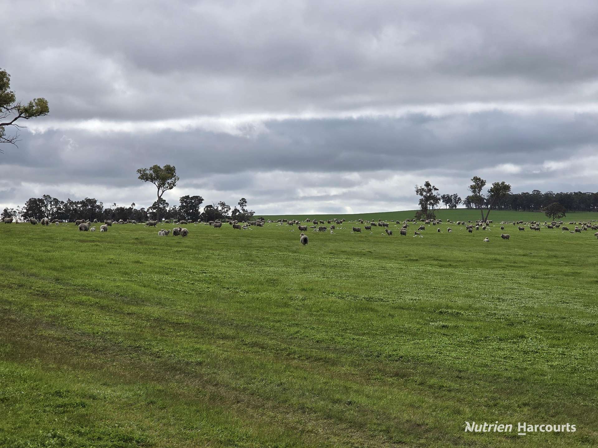 57 Ward Place, Frankland River For Sale by Farmbuy.com - image 18