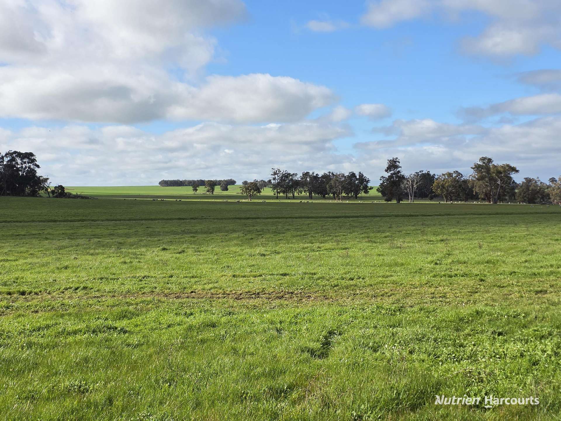 57 Ward Place, Frankland River For Sale by Farmbuy.com - image 3