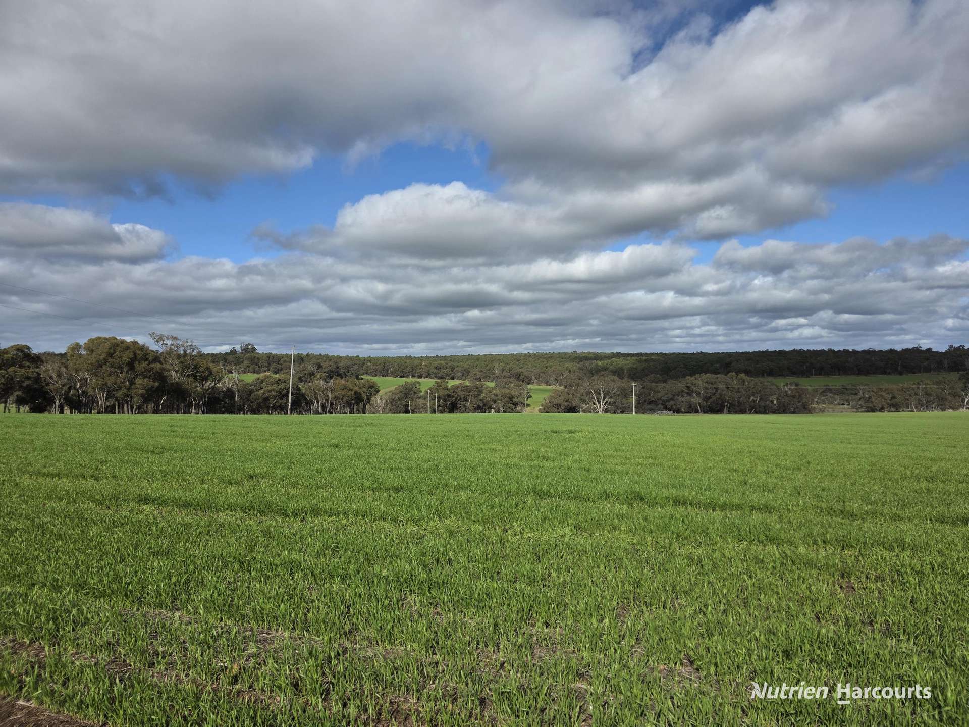 57 Ward Place, Frankland River For Sale by Farmbuy.com - image 6