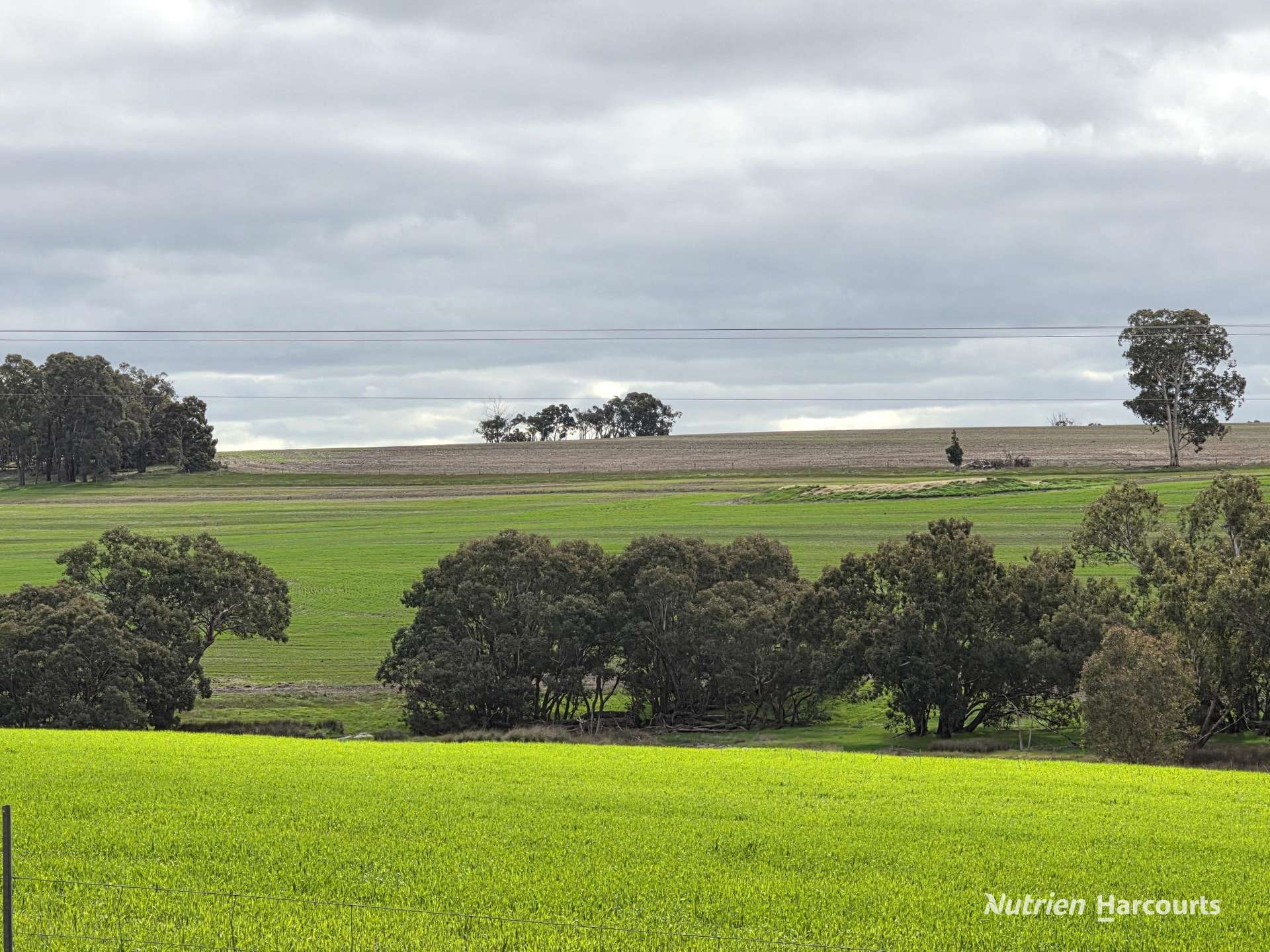 57 Ward Place, Frankland River For Sale by Farmbuy.com - image 22