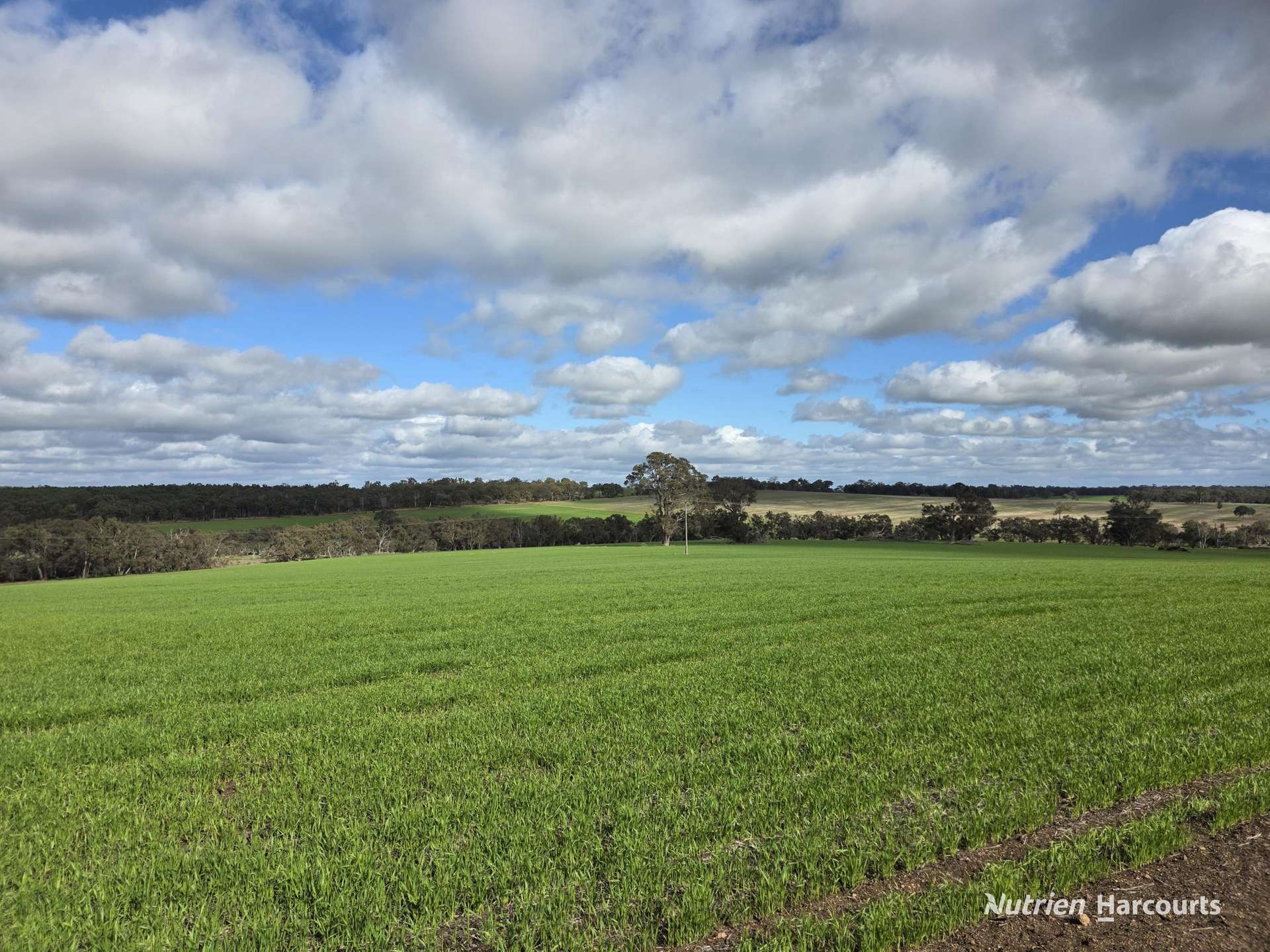 57 Ward Place, Frankland River For Sale by Farmbuy.com - image 5