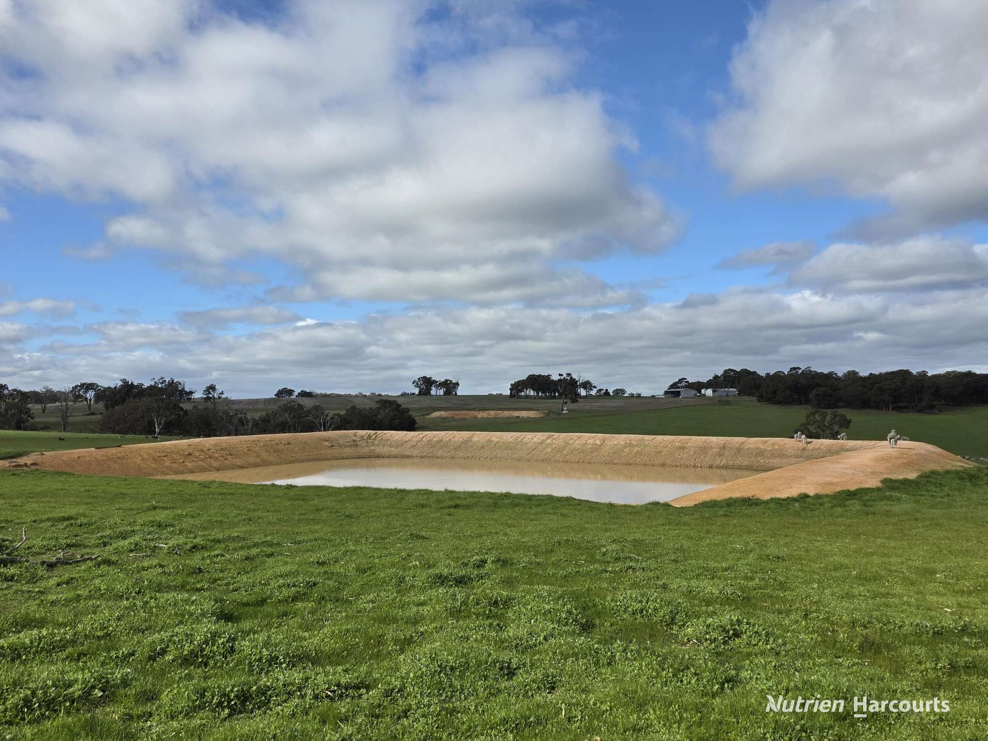 57 Ward Place, Frankland River For Sale by Farmbuy.com - image 4