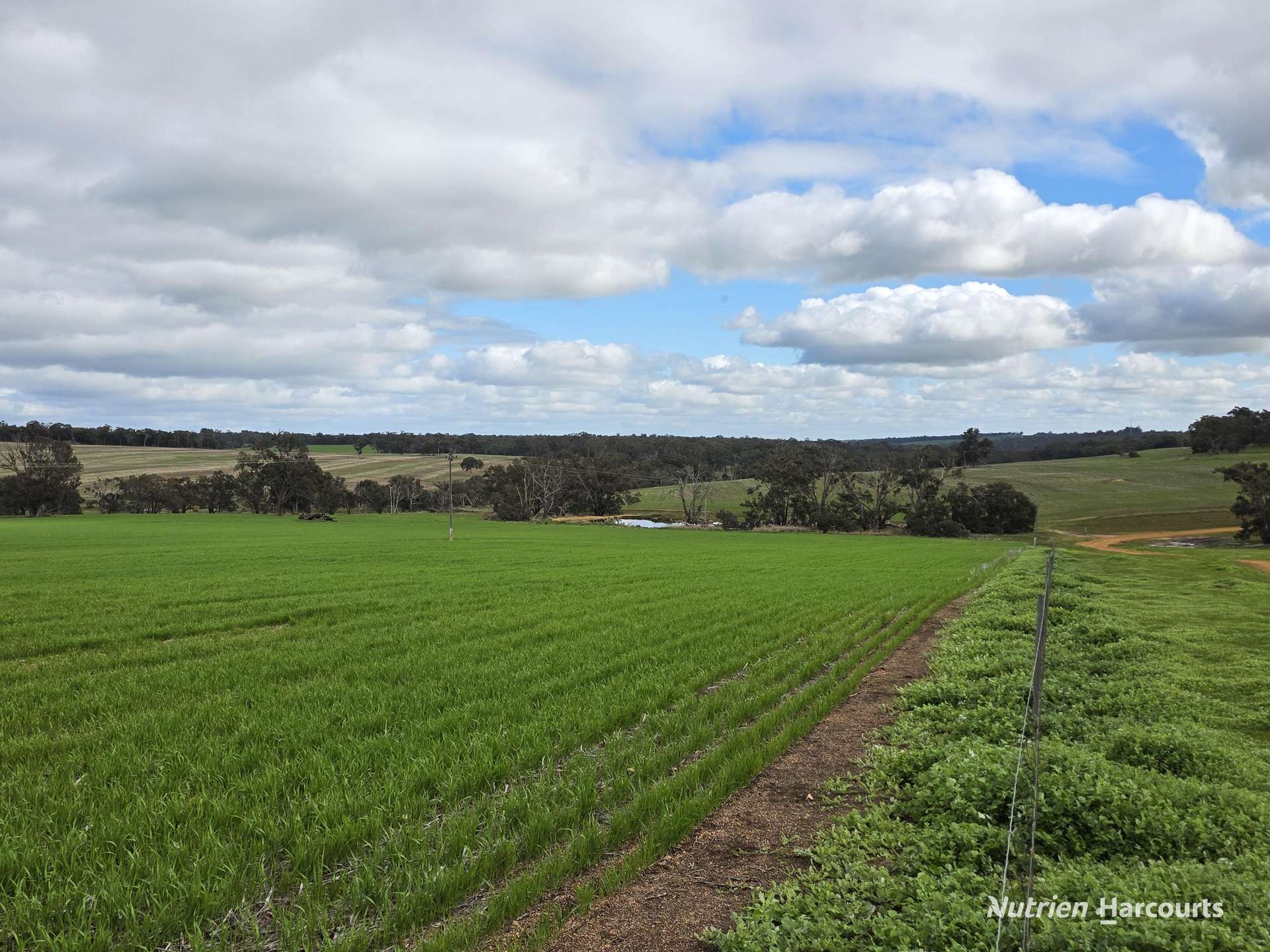 57 Ward Place, Frankland River For Sale by Farmbuy.com - image 17