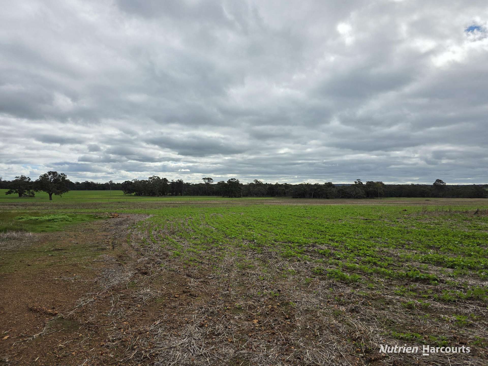 57 Ward Place, Frankland River For Sale by Farmbuy.com - image 26