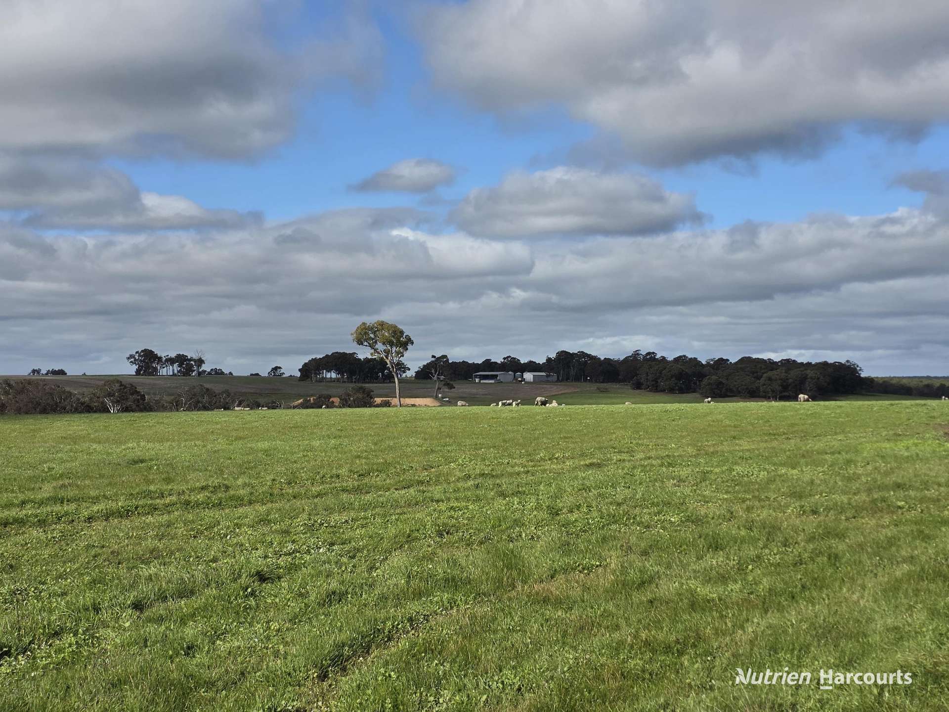 57 Ward Place, Frankland River For Sale by Farmbuy.com - image 2