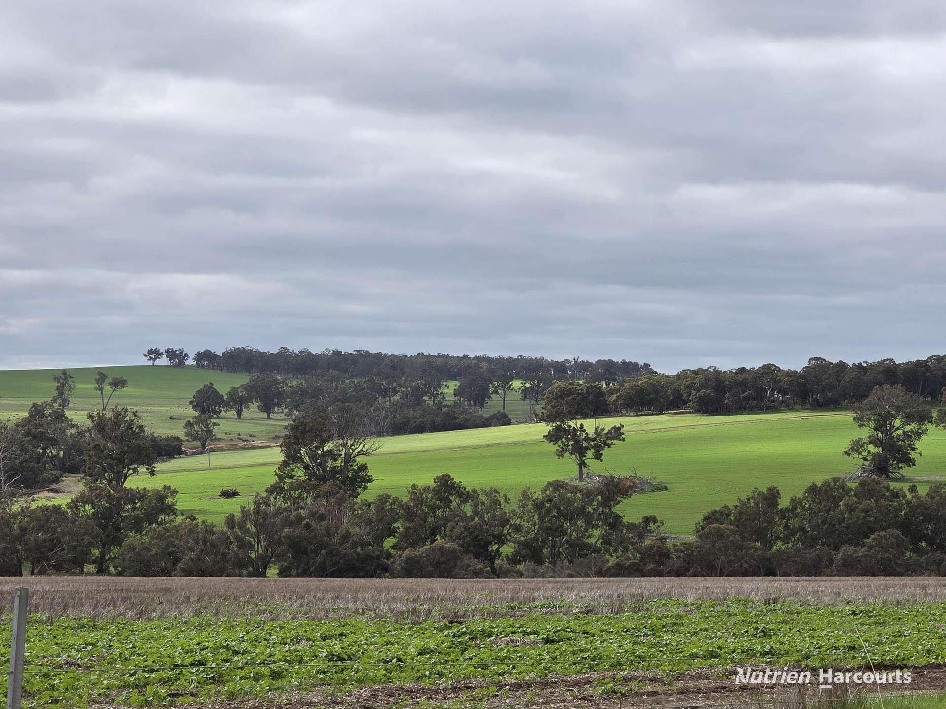 57 Ward Place, Frankland River For Sale by Farmbuy.com - image 24