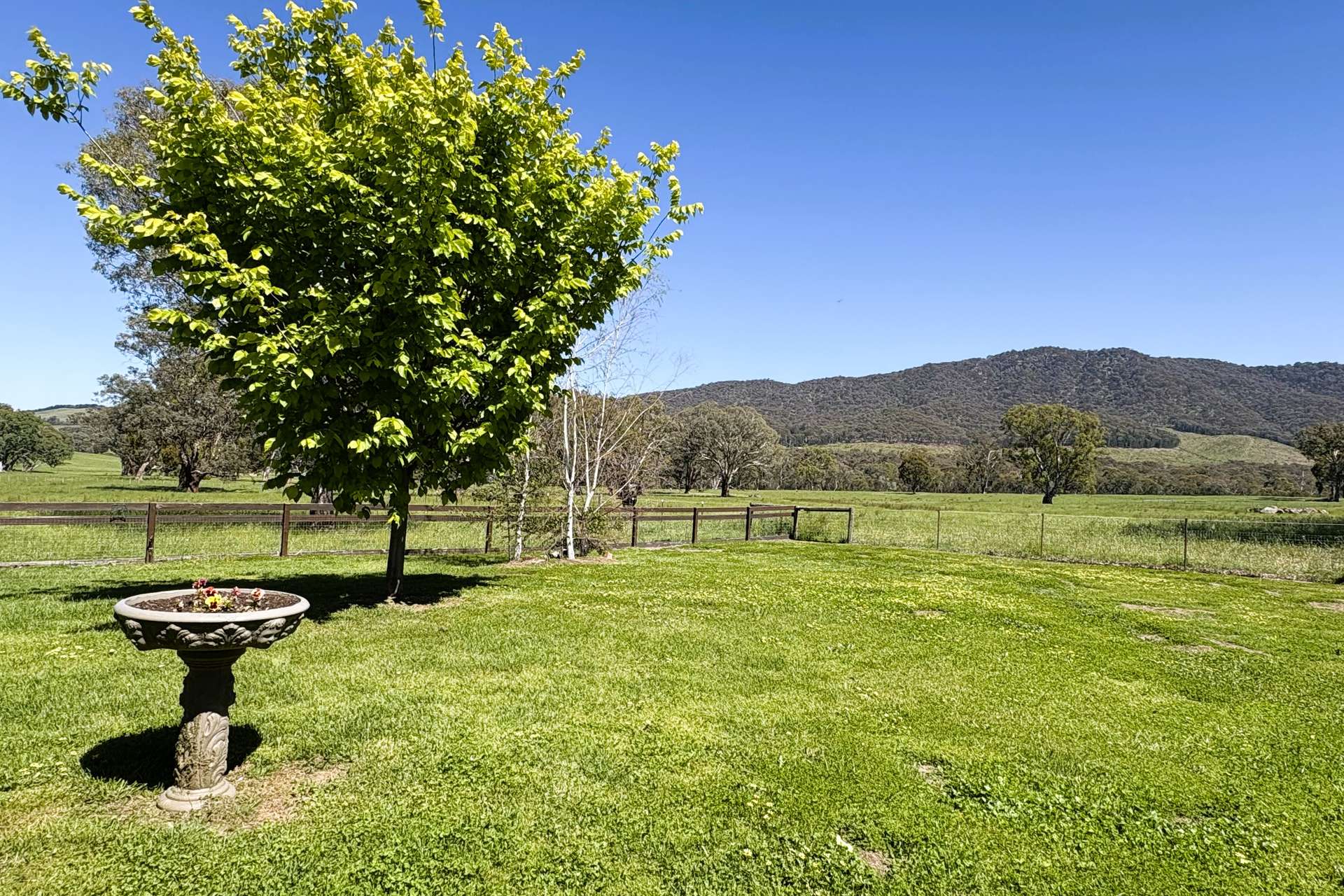 257 Blue Range Road, Bridge Creek For Sale by Farmbuy.com - image 19
