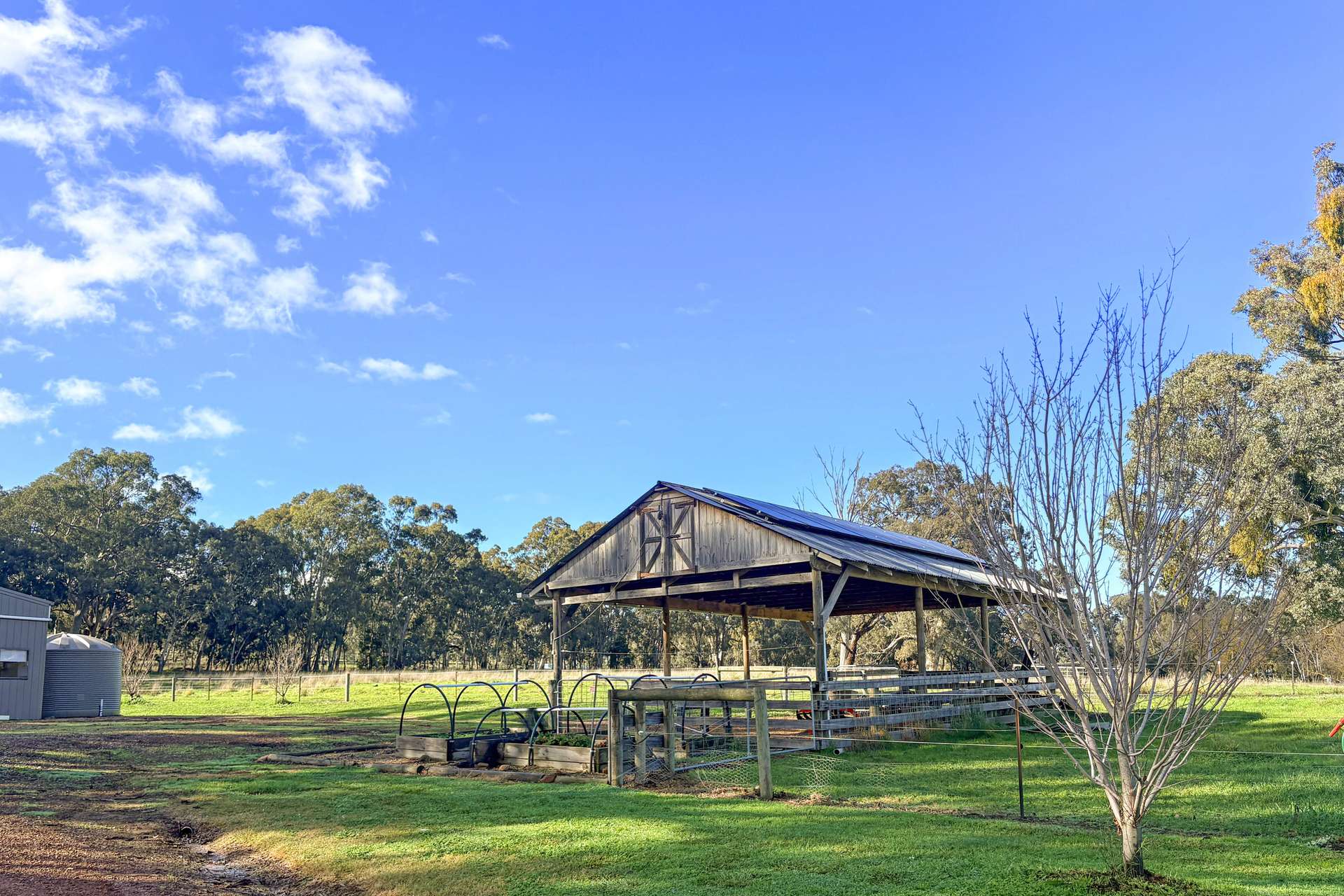 257 Blue Range Road, Bridge Creek For Sale by Farmbuy.com - image 23