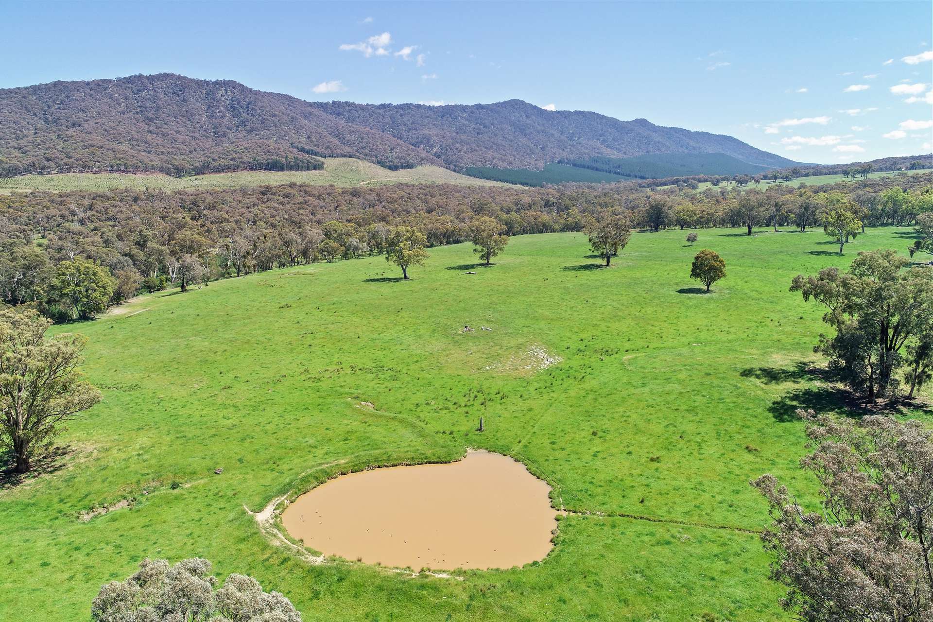257 Blue Range Road, Bridge Creek For Sale by Farmbuy.com - image 25