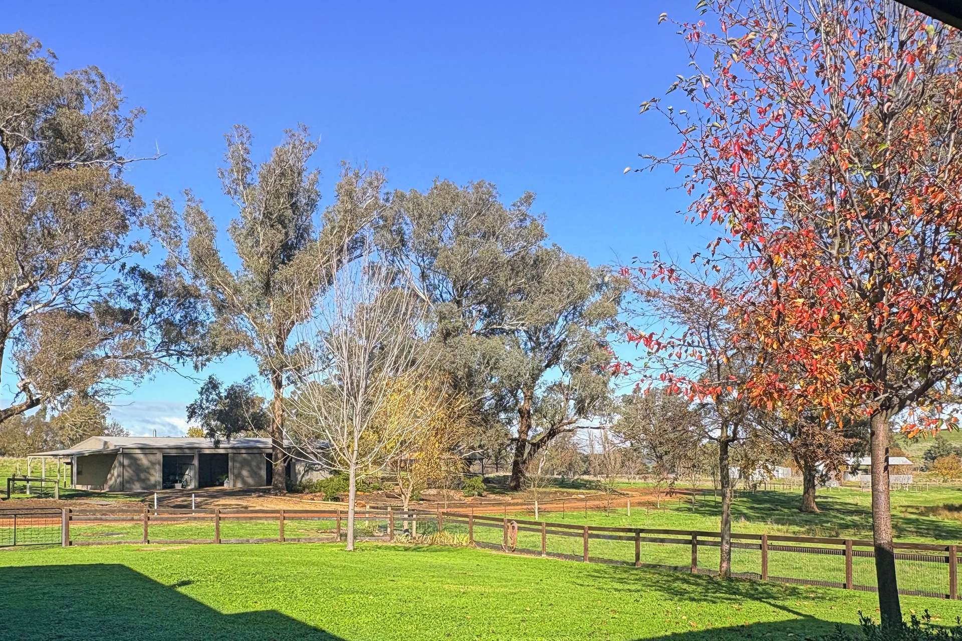 257 Blue Range Road, Bridge Creek For Sale by Farmbuy.com - image 3