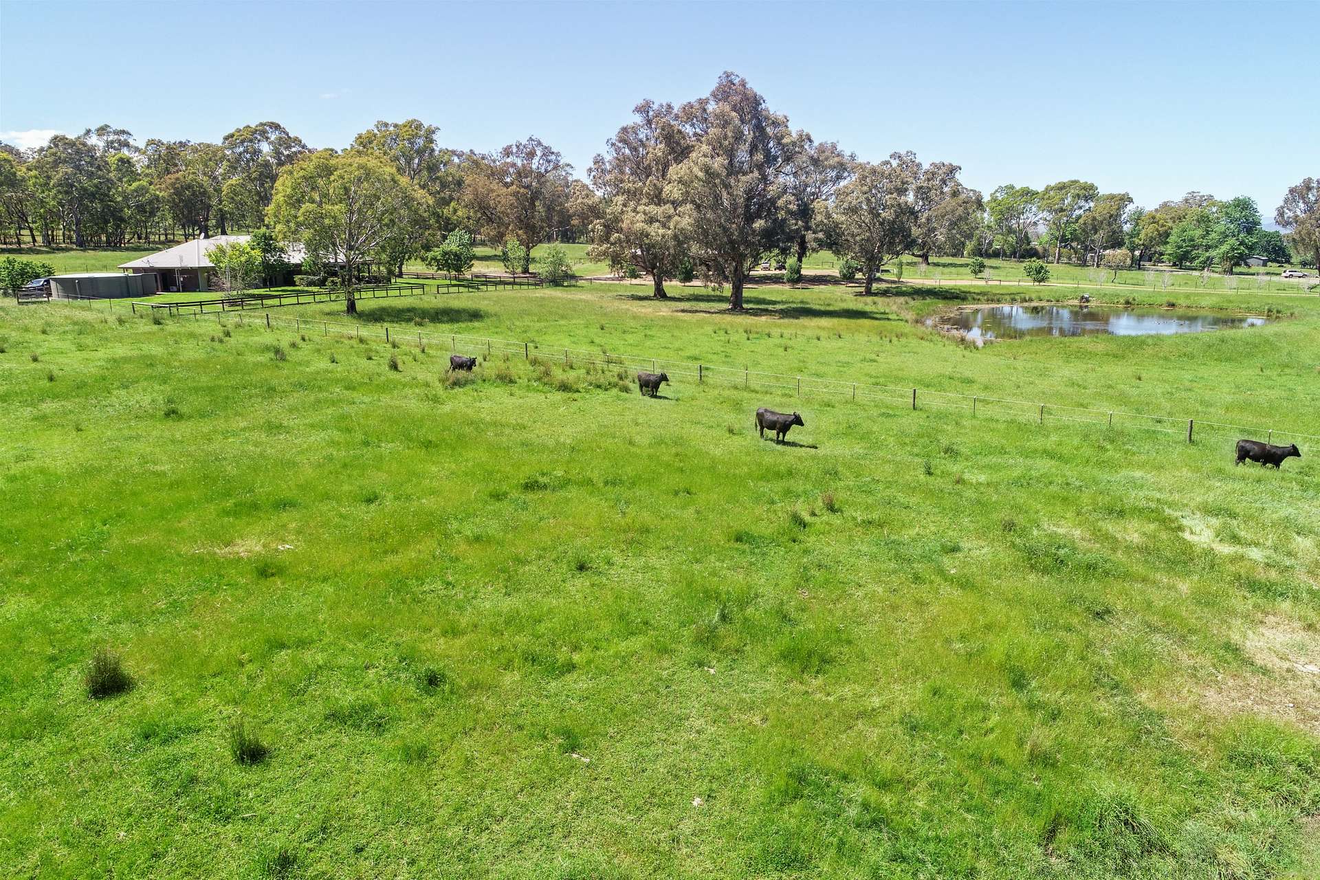 257 Blue Range Road, Bridge Creek For Sale by Farmbuy.com - image 5