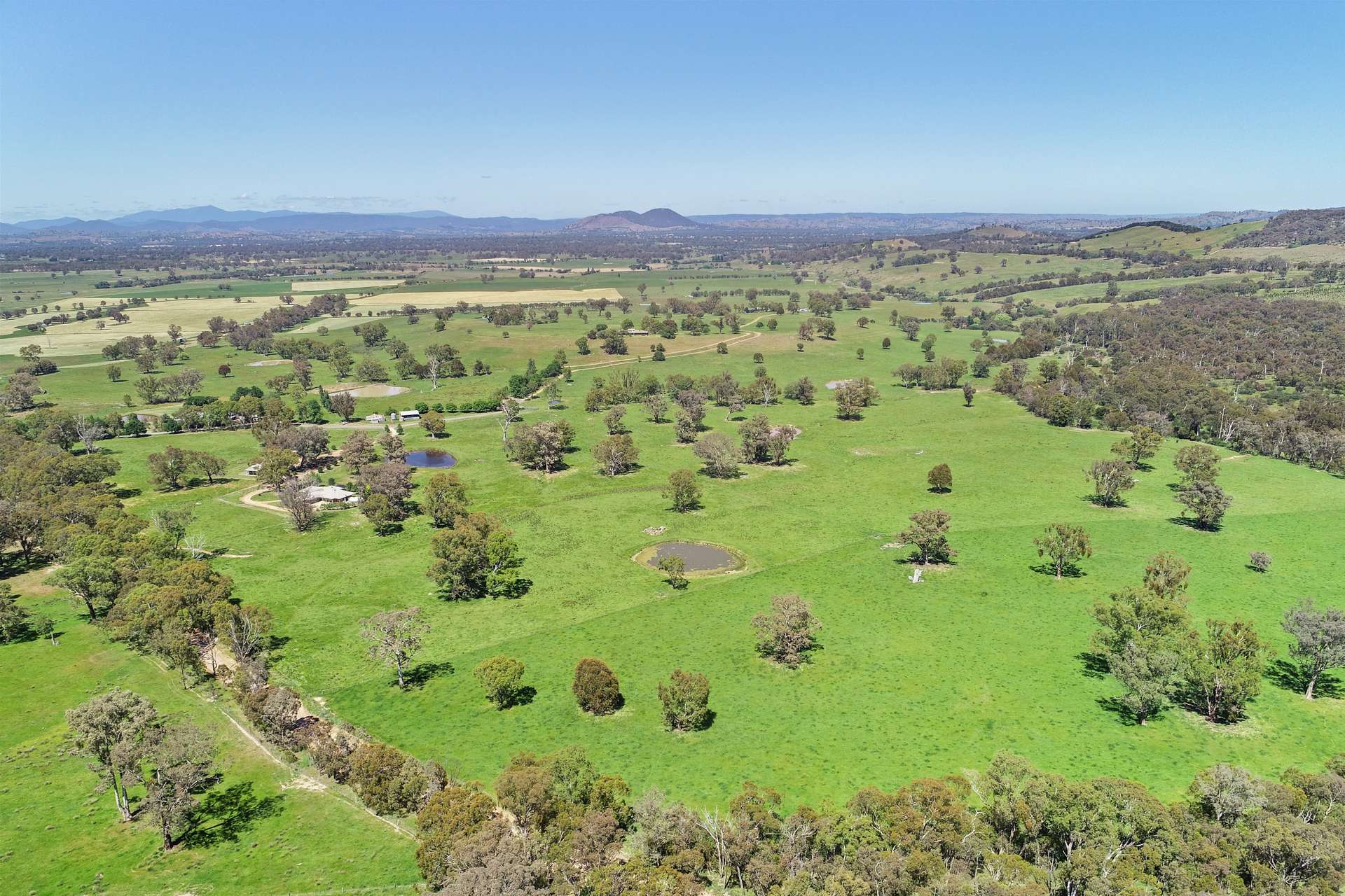 257 Blue Range Road, Bridge Creek For Sale by Farmbuy.com - image 22
