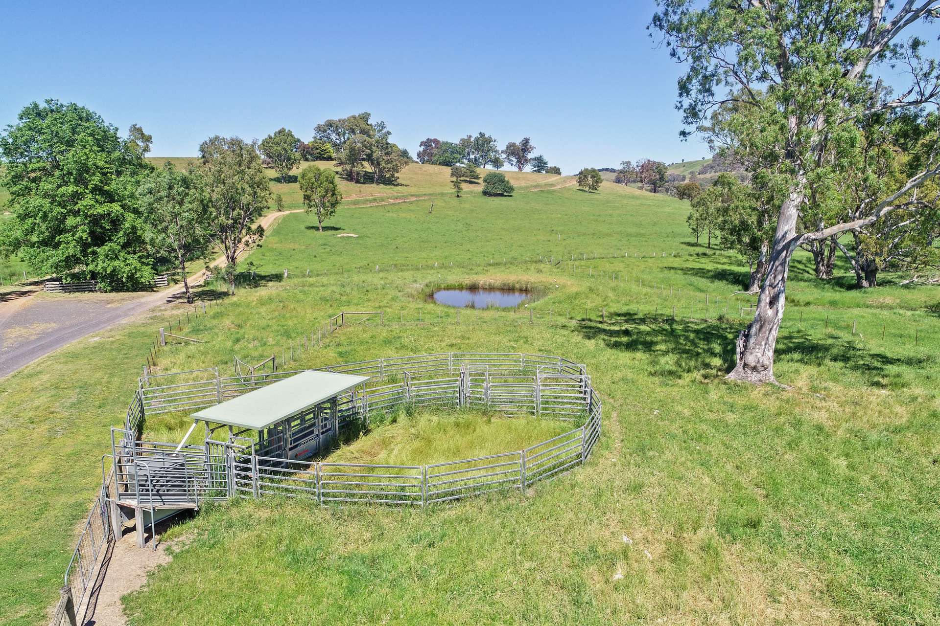 257 Blue Range Road, Bridge Creek For Sale by Farmbuy.com - image 7