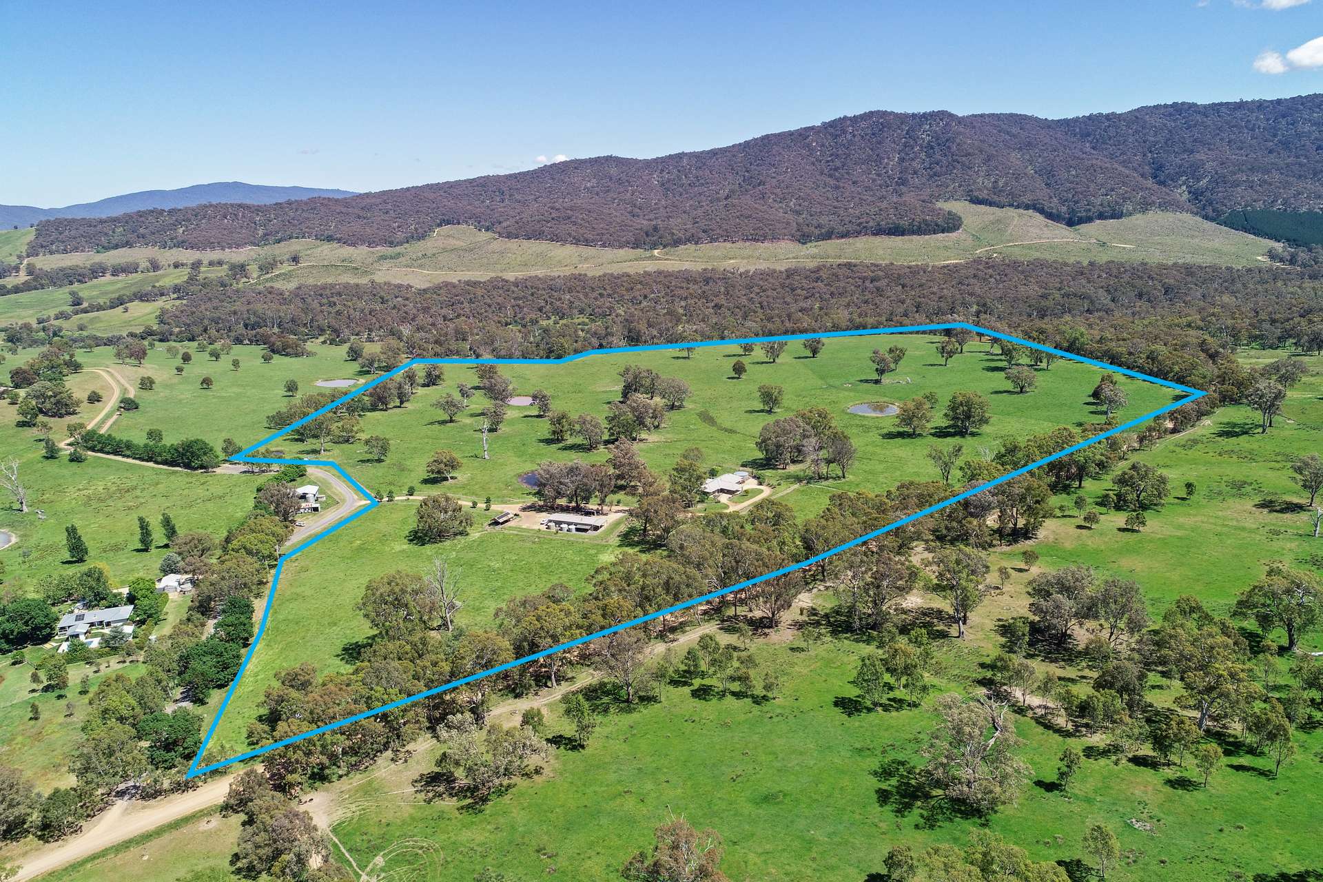 257 Blue Range Road, Bridge Creek For Sale by Farmbuy.com - image 4