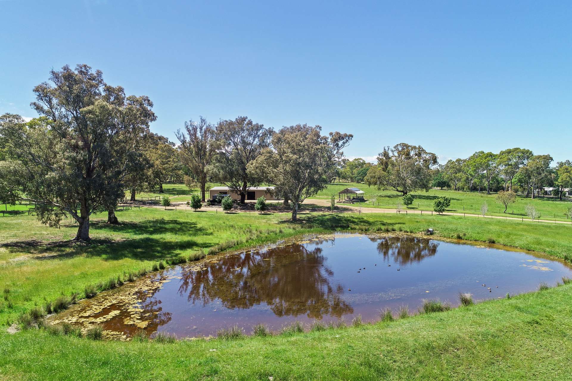 257 Blue Range Road, Bridge Creek For Sale by Farmbuy.com - image 21
