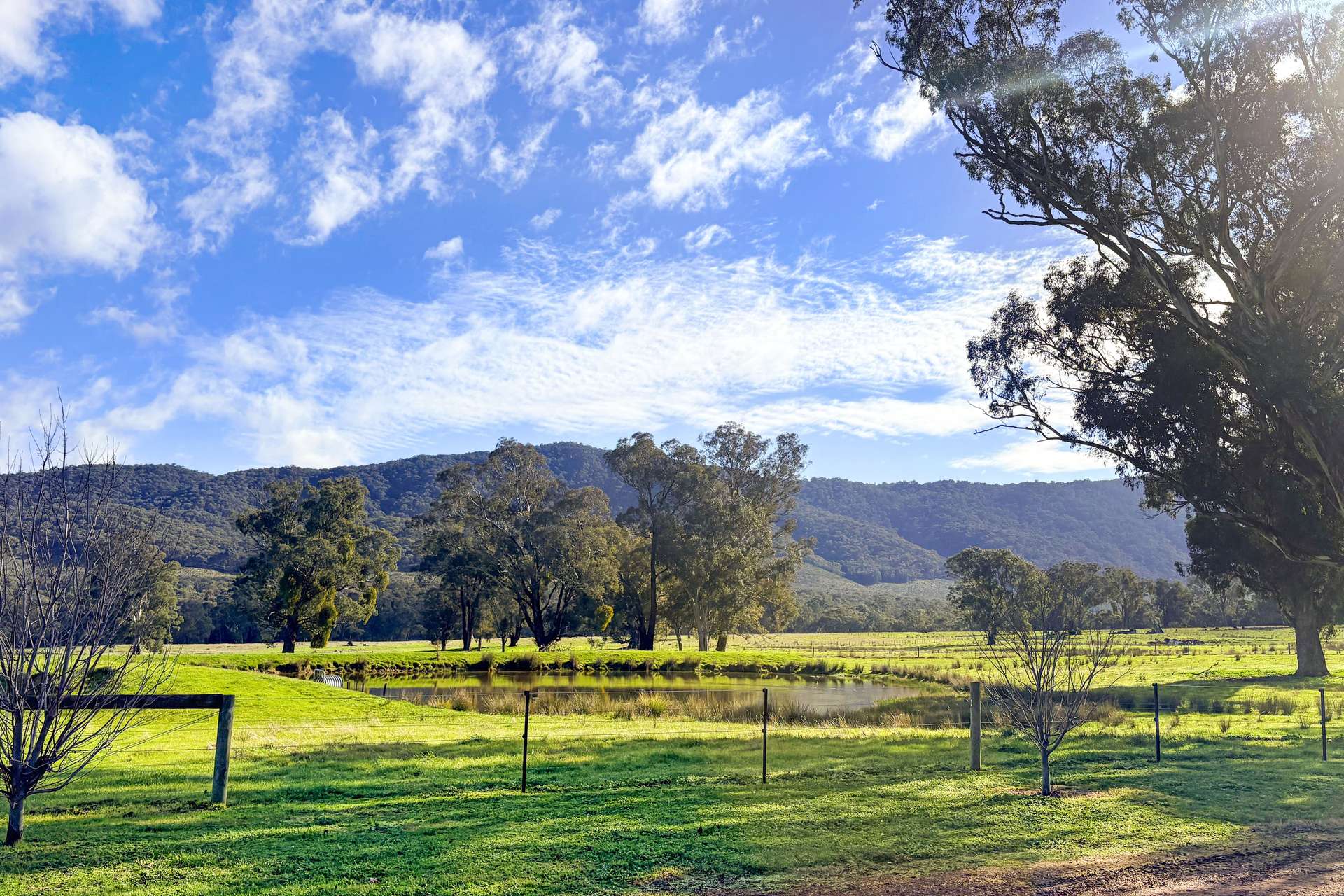 257 Blue Range Road, Bridge Creek For Sale by Farmbuy.com - image 26