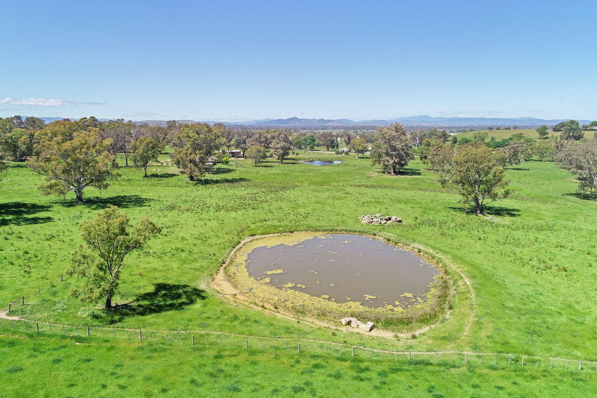 257 Blue Range Road, Bridge Creek For Sale by Farmbuy.com - image 24