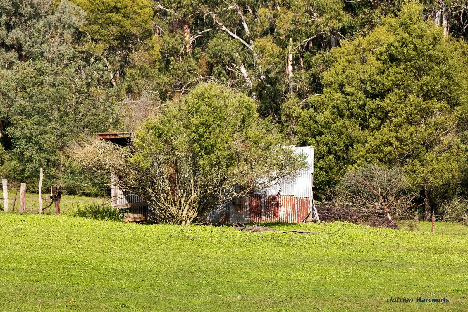 278 Cathedral Lane, Taggerty For Sale by Farmbuy.com - image 4