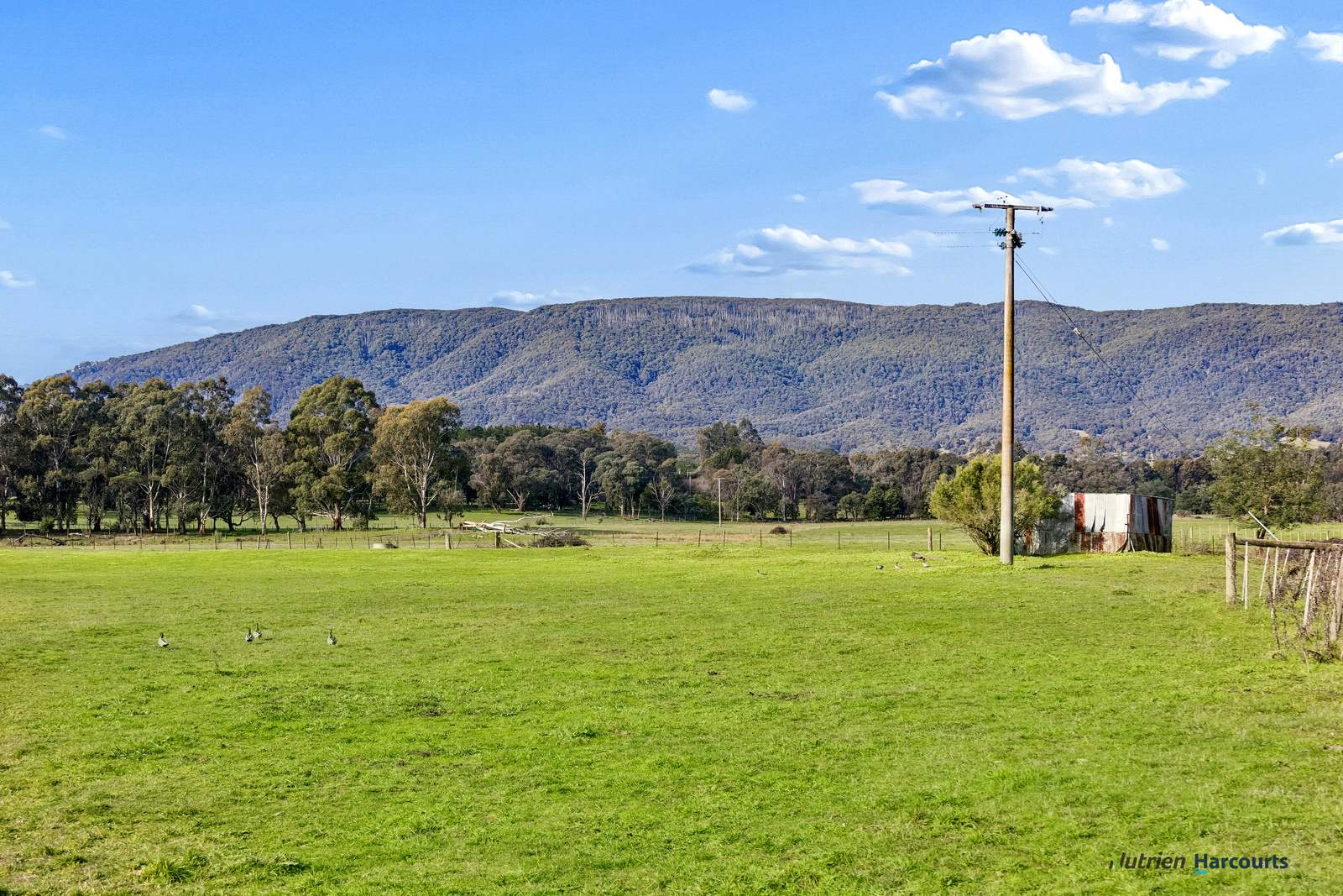 278 Cathedral Lane, Taggerty For Sale by Farmbuy.com - image 5
