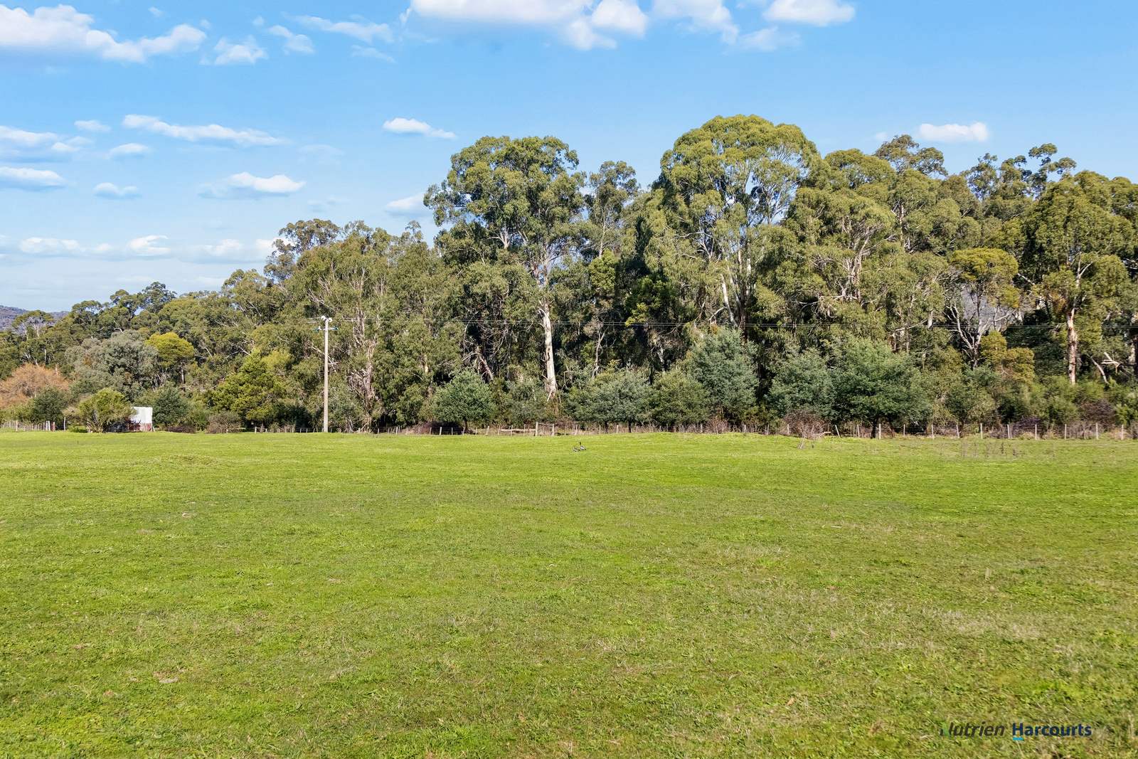 278 Cathedral Lane, Taggerty For Sale by Farmbuy.com - image 7