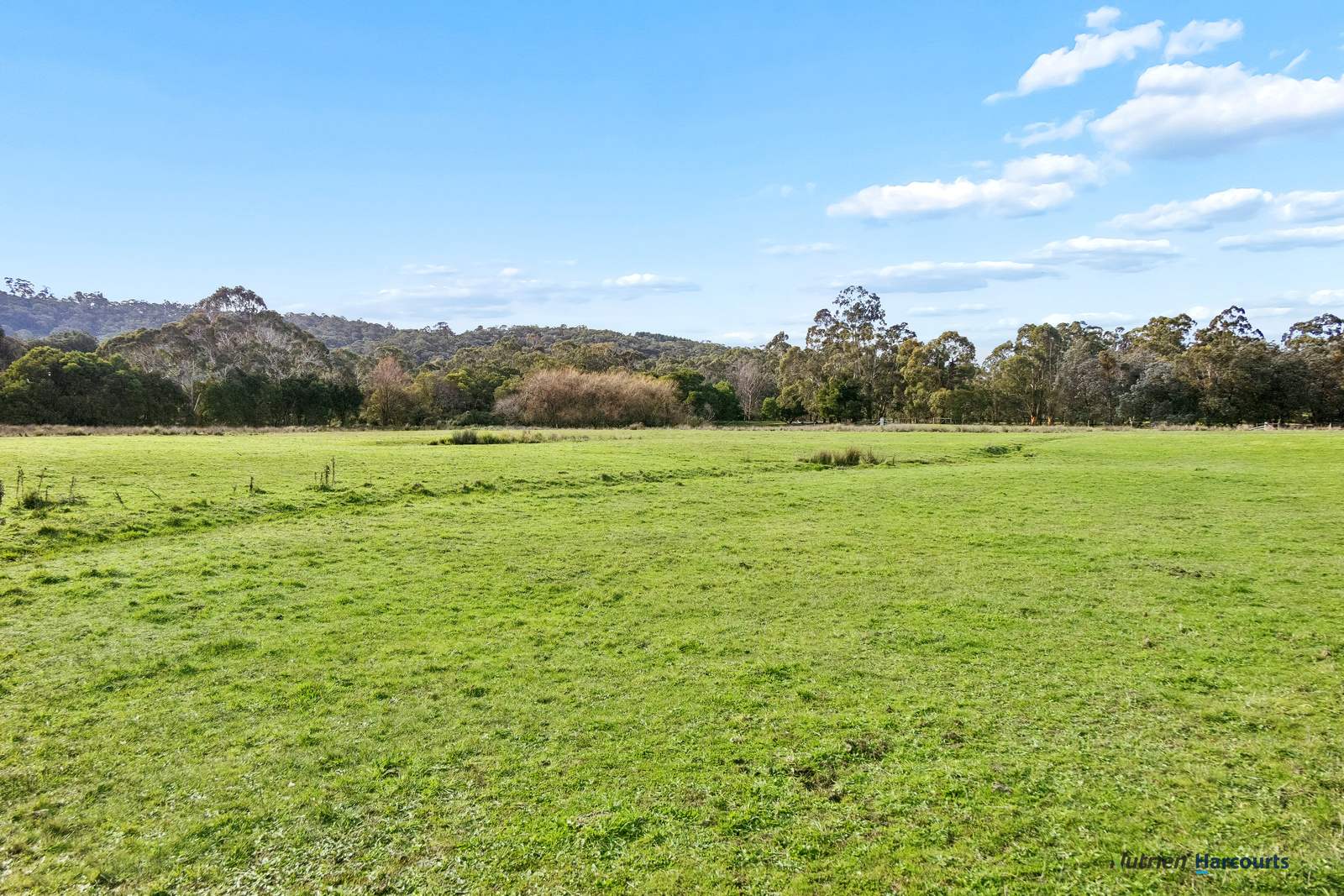 278 Cathedral Lane, Taggerty For Sale by Farmbuy.com - image 6
