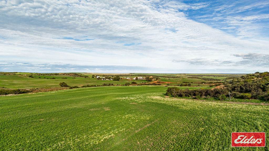 Lot 55 Starling Road, Bowes For Sale by Farmbuy.com - image 8