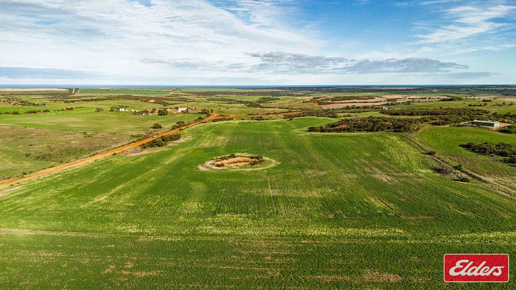 Lot 55 Starling Road, Bowes For Sale by Farmbuy.com - image 3