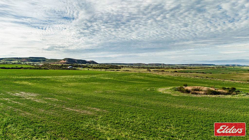 Lot 55 Starling Road, Bowes For Sale by Farmbuy.com - image 6