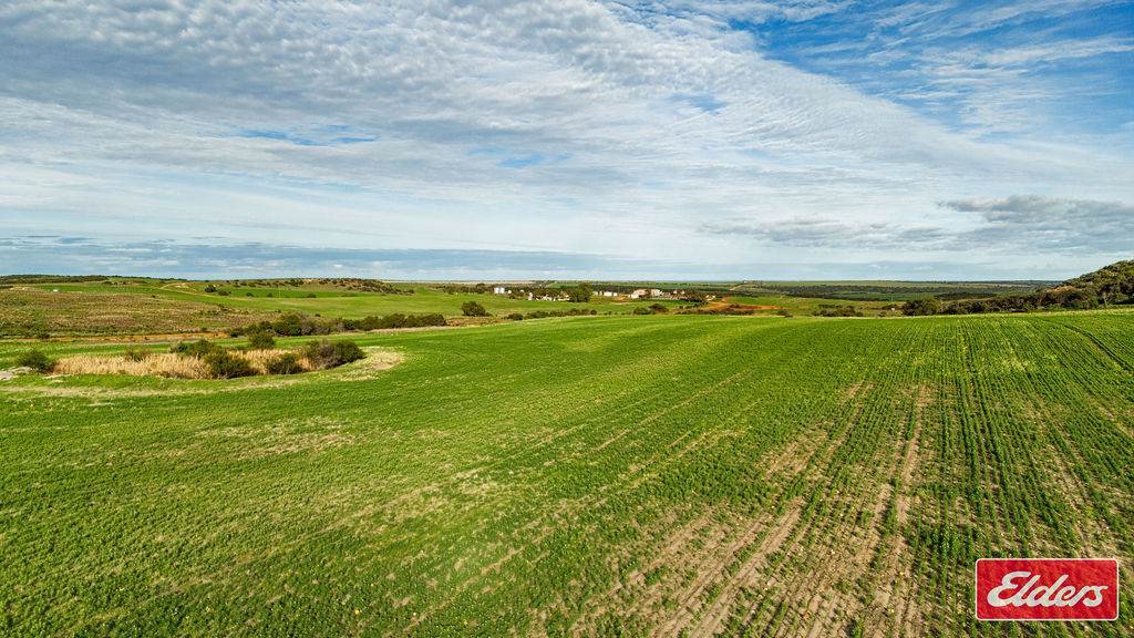 Lot 55 Starling Road, Bowes For Sale by Farmbuy.com - image 9