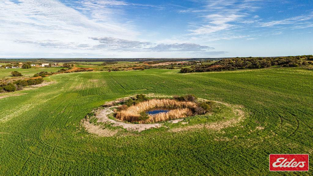 Lot 55 Starling Road, Bowes For Sale by Farmbuy.com - image 10
