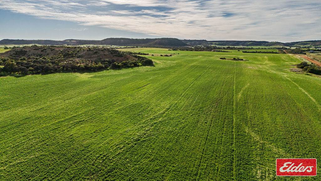 Lot 55 Starling Road, Bowes For Sale by Farmbuy.com - image 4