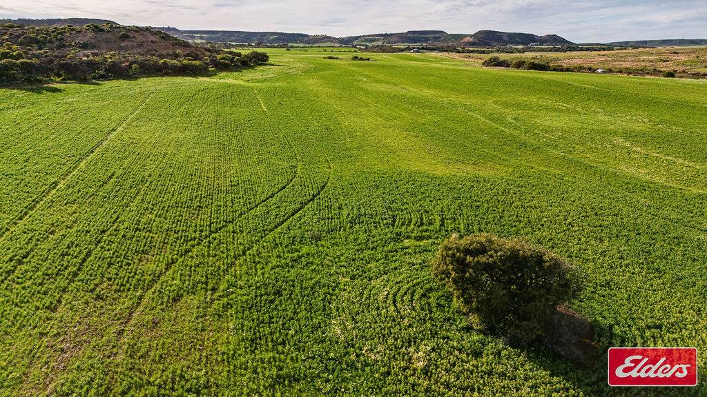 Lot 55 Starling Road, Bowes For Sale by Farmbuy.com - image 5