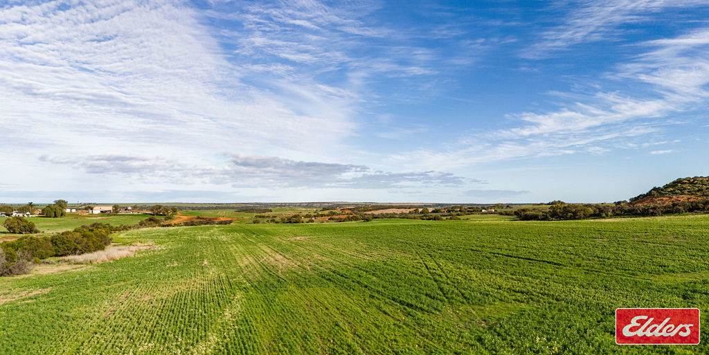 Lot 55 Starling Road, Bowes For Sale by Farmbuy.com - image 7