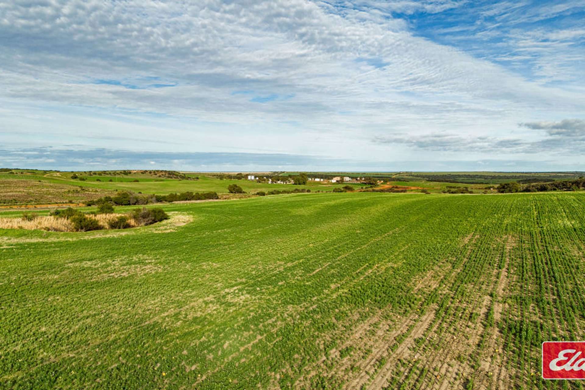 Lot 55 Starling Road, Bowes Sold by Farmbuy.com - image 9