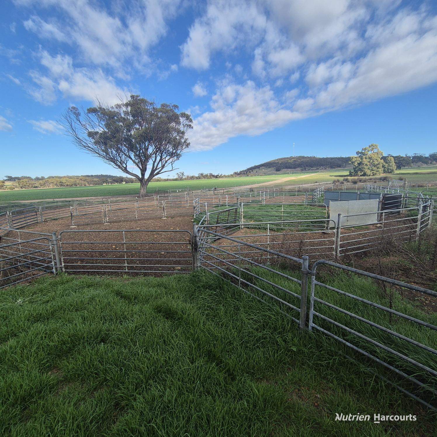 Tatiara Farm, Gilliminning Road, Wickepin For Sale by Farmbuy.com - image 10