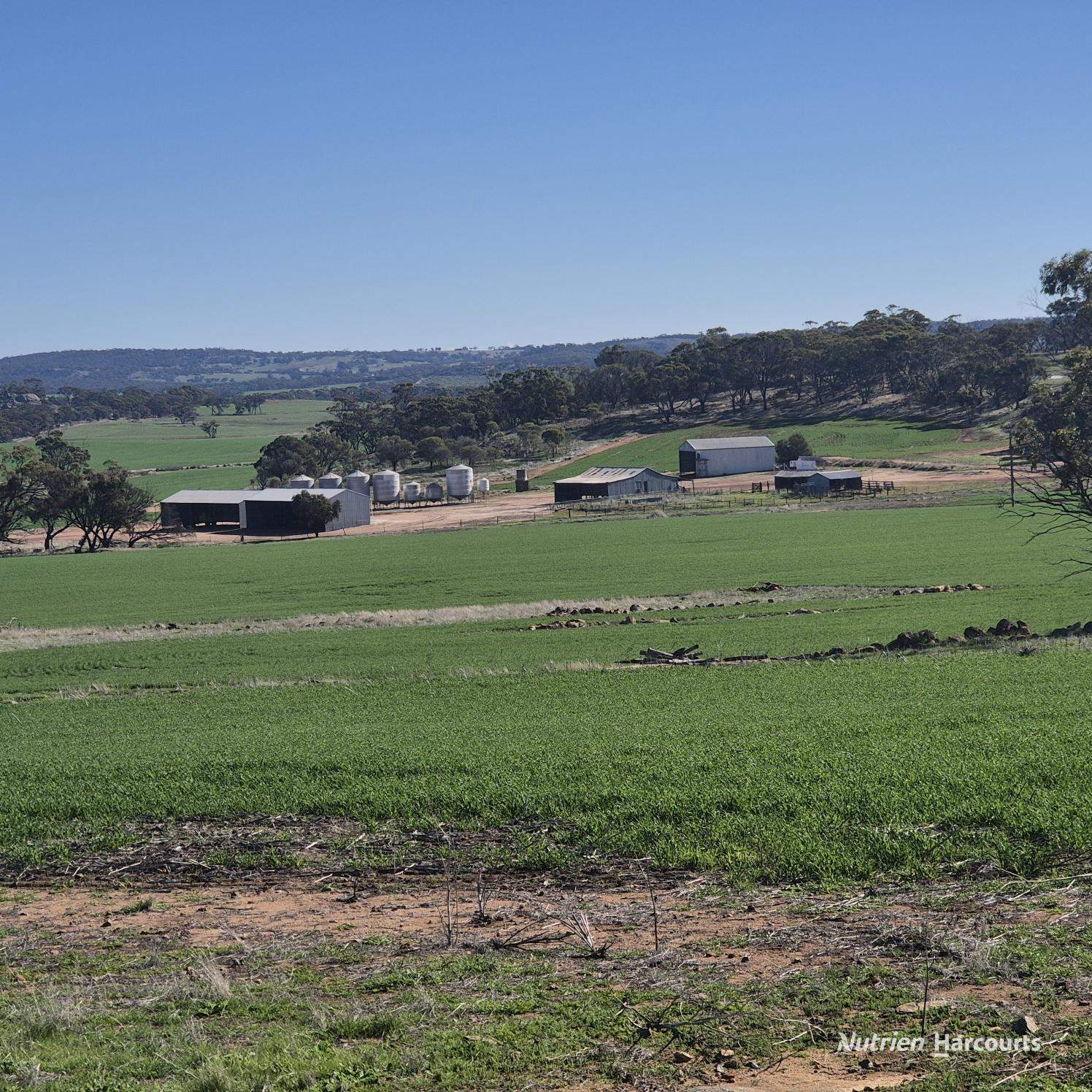 Tatiara Farm, Gilliminning Road, Wickepin For Sale by Farmbuy.com - image 7