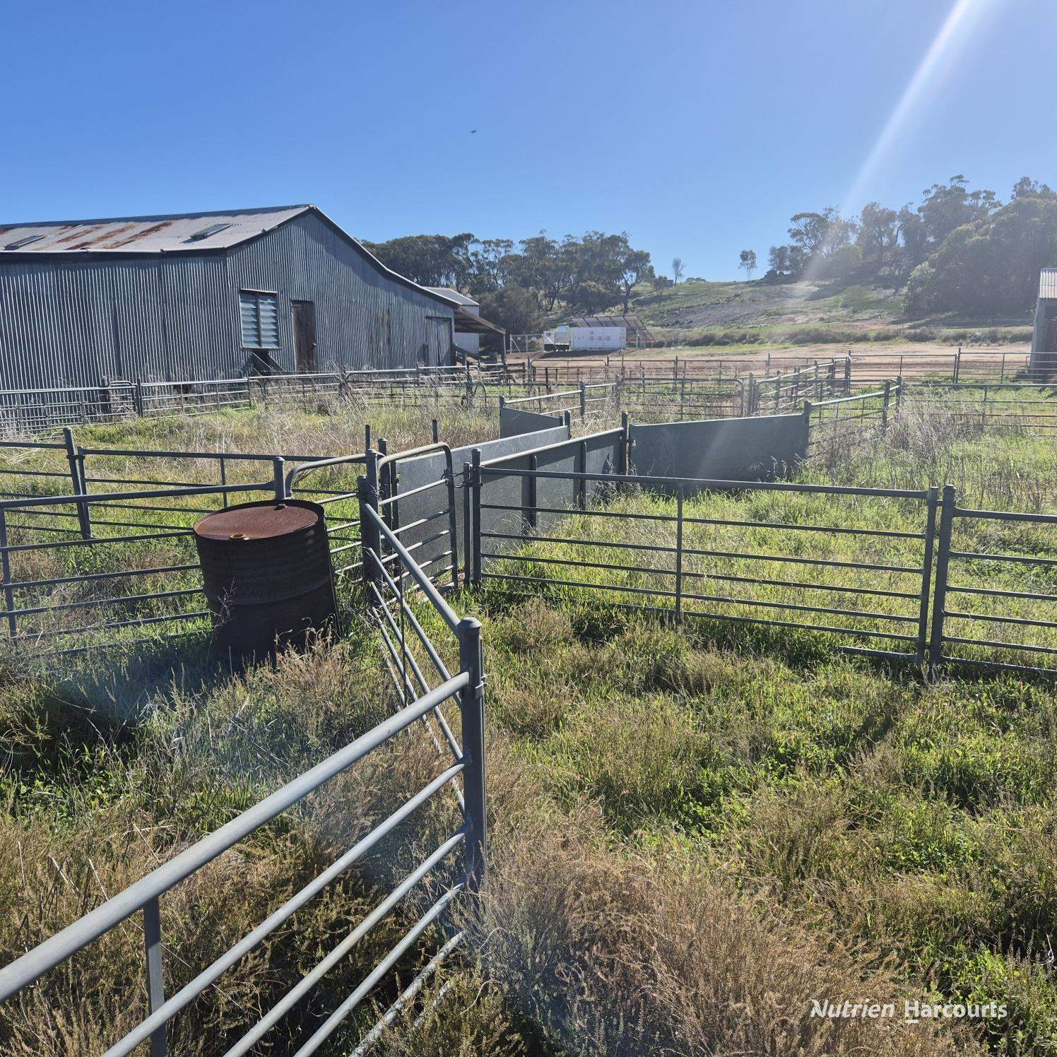 Tatiara Farm, Gilliminning Road, Wickepin For Sale by Farmbuy.com - image 20
