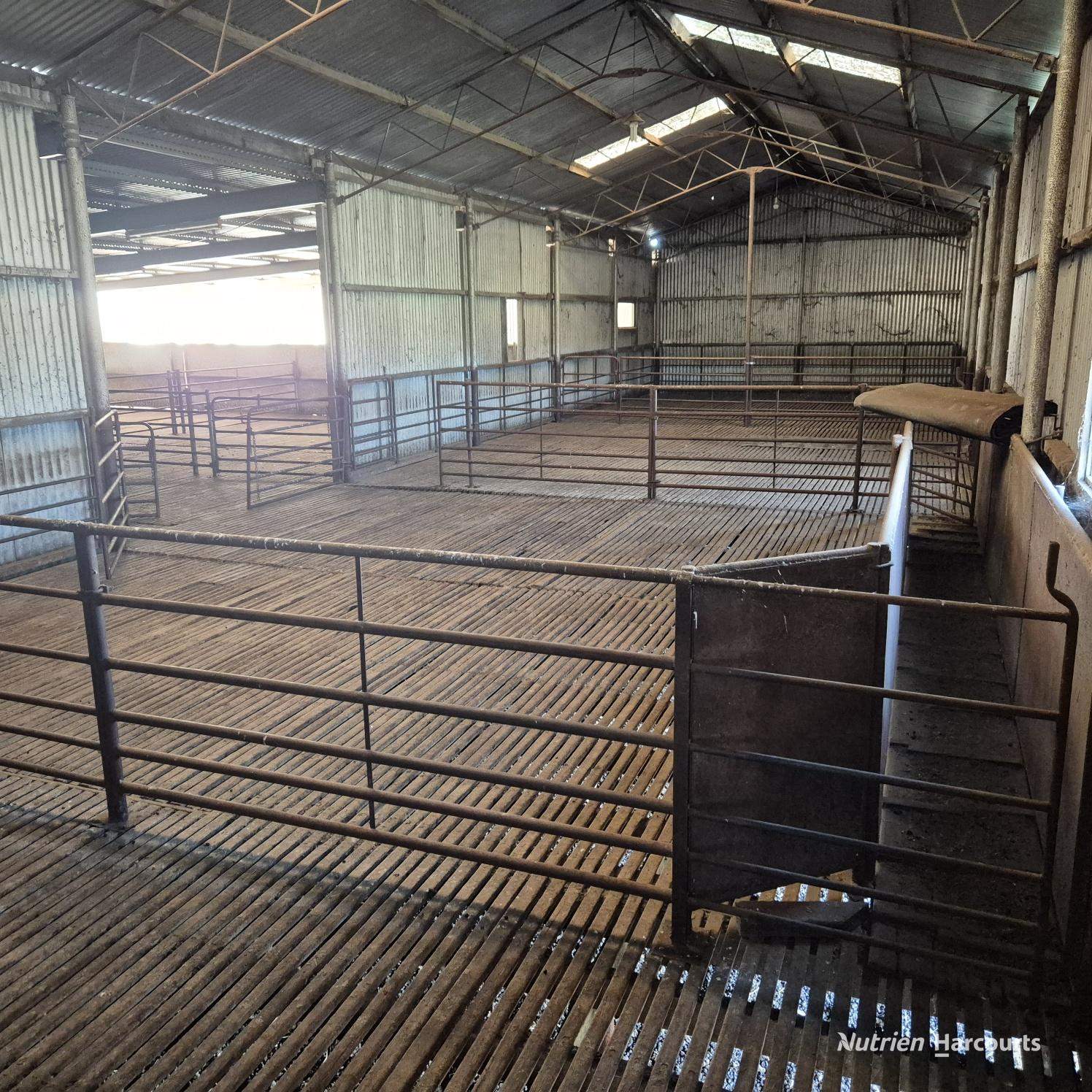 Tatiara Farm, Gilliminning Road, Wickepin For Sale by Farmbuy.com - image 24