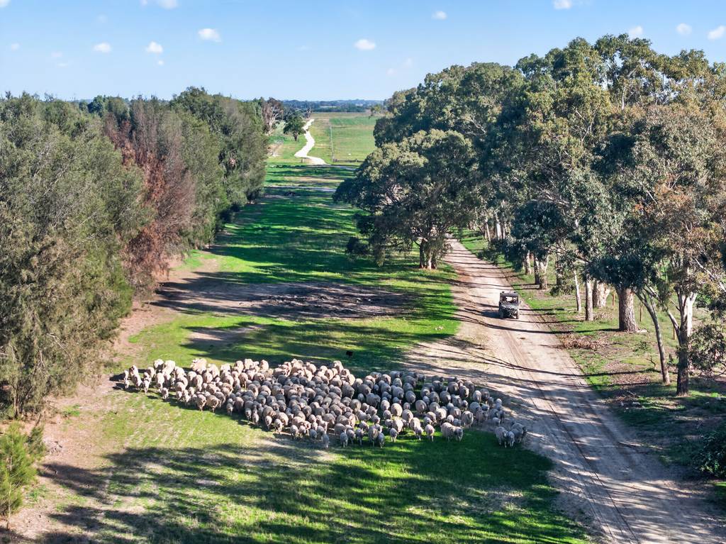 'Cairndale' Dukes Highway, Keith SA 5267