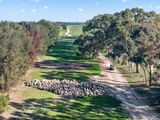 'Cairndale' Dukes Highway, Keith Auction by Ray White Rural South Australia 