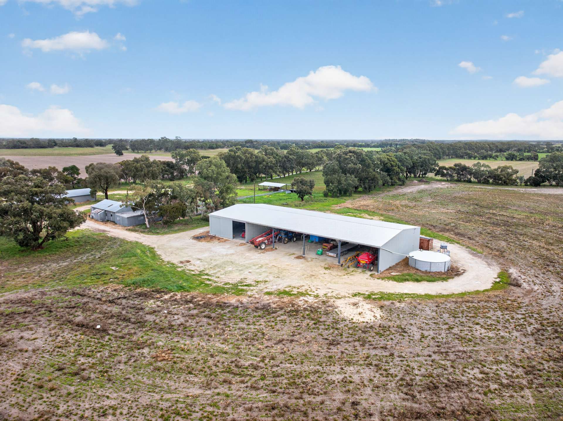 'Cairndale' Dukes Highway, Keith Auction by Farmbuy.com - image 8