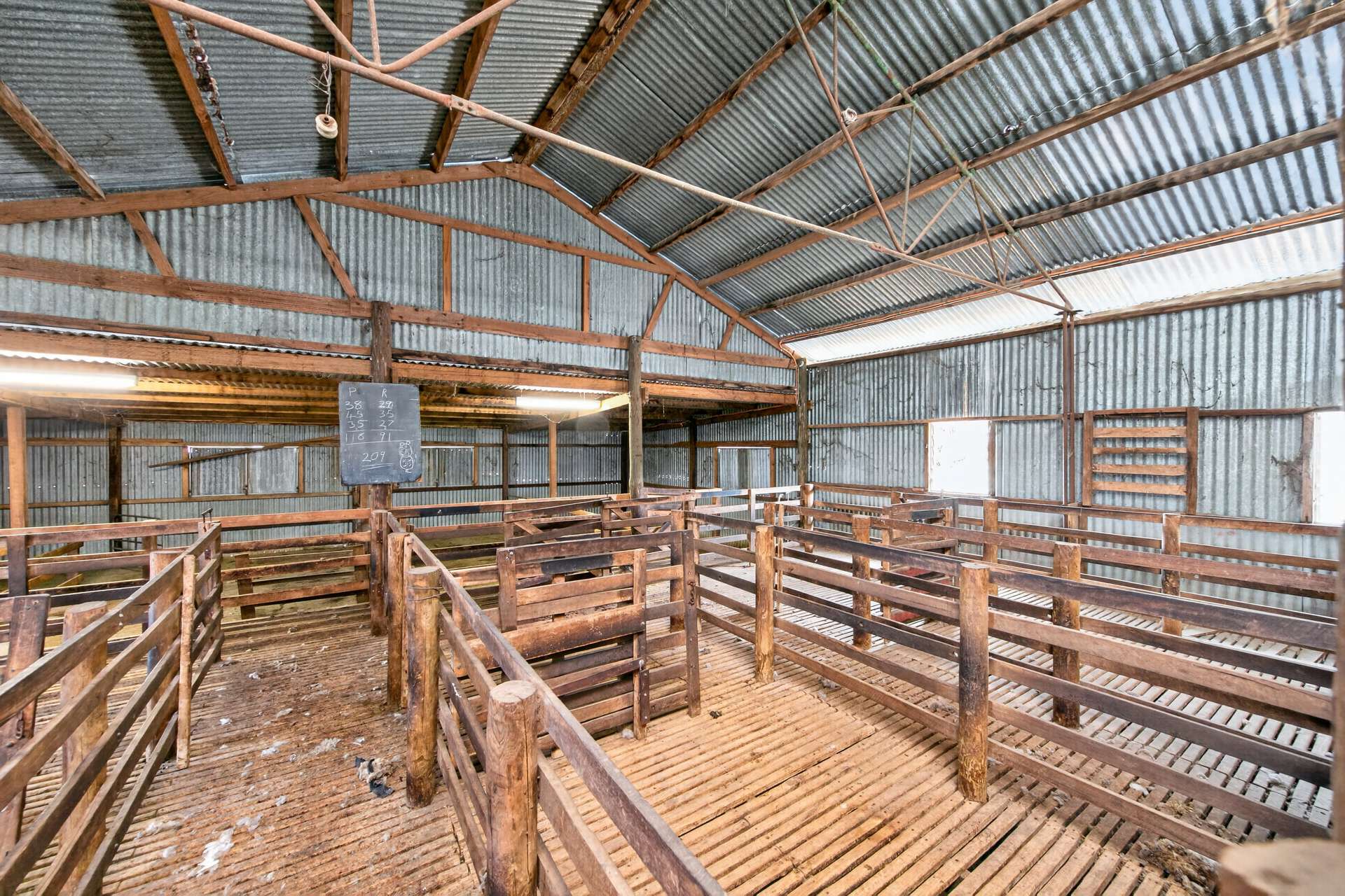 'Cairndale' Dukes Highway, Keith Auction by Farmbuy.com - image 18
