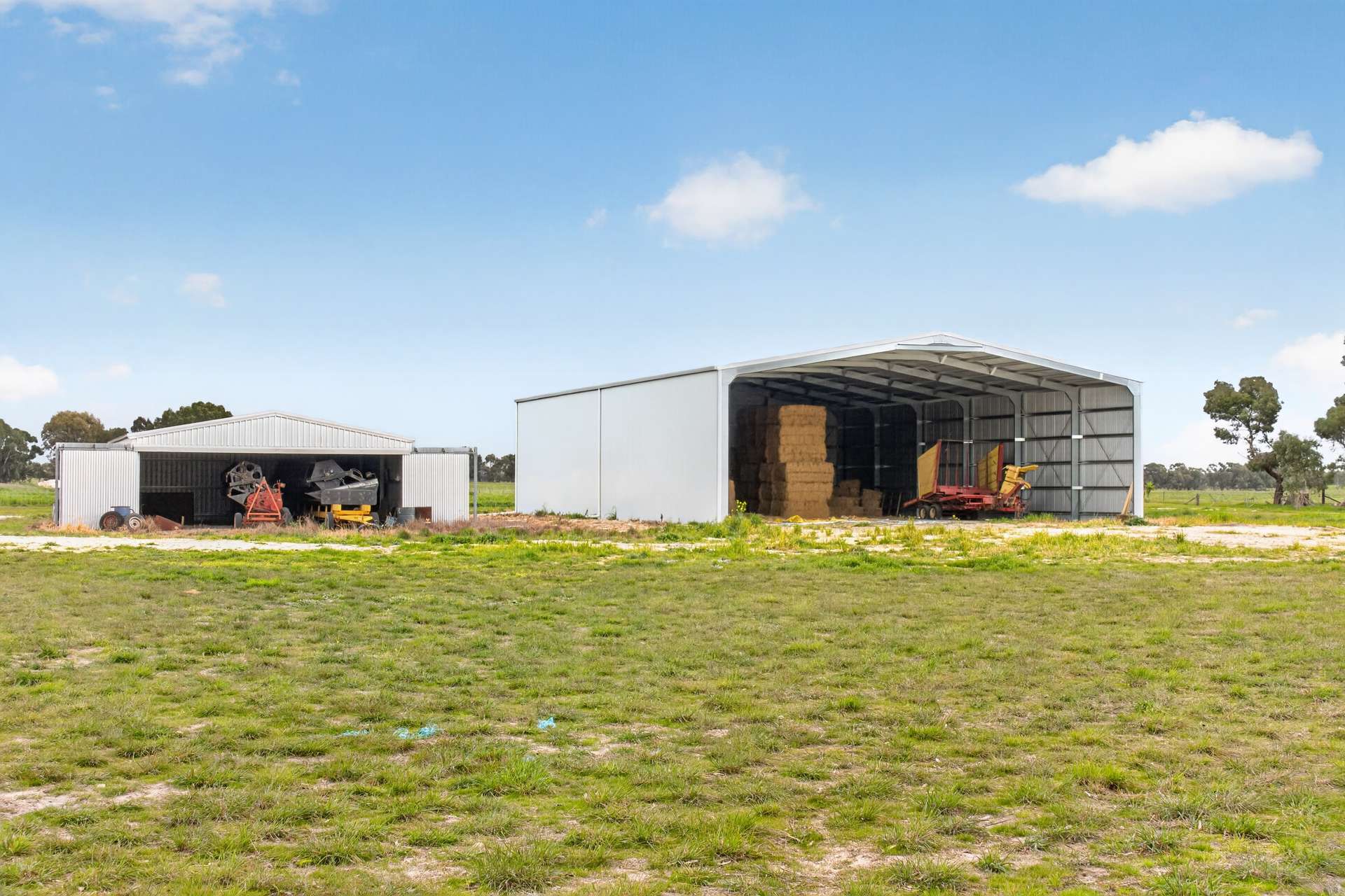 'Cairndale' Dukes Highway, Keith Auction by Farmbuy.com - image 9