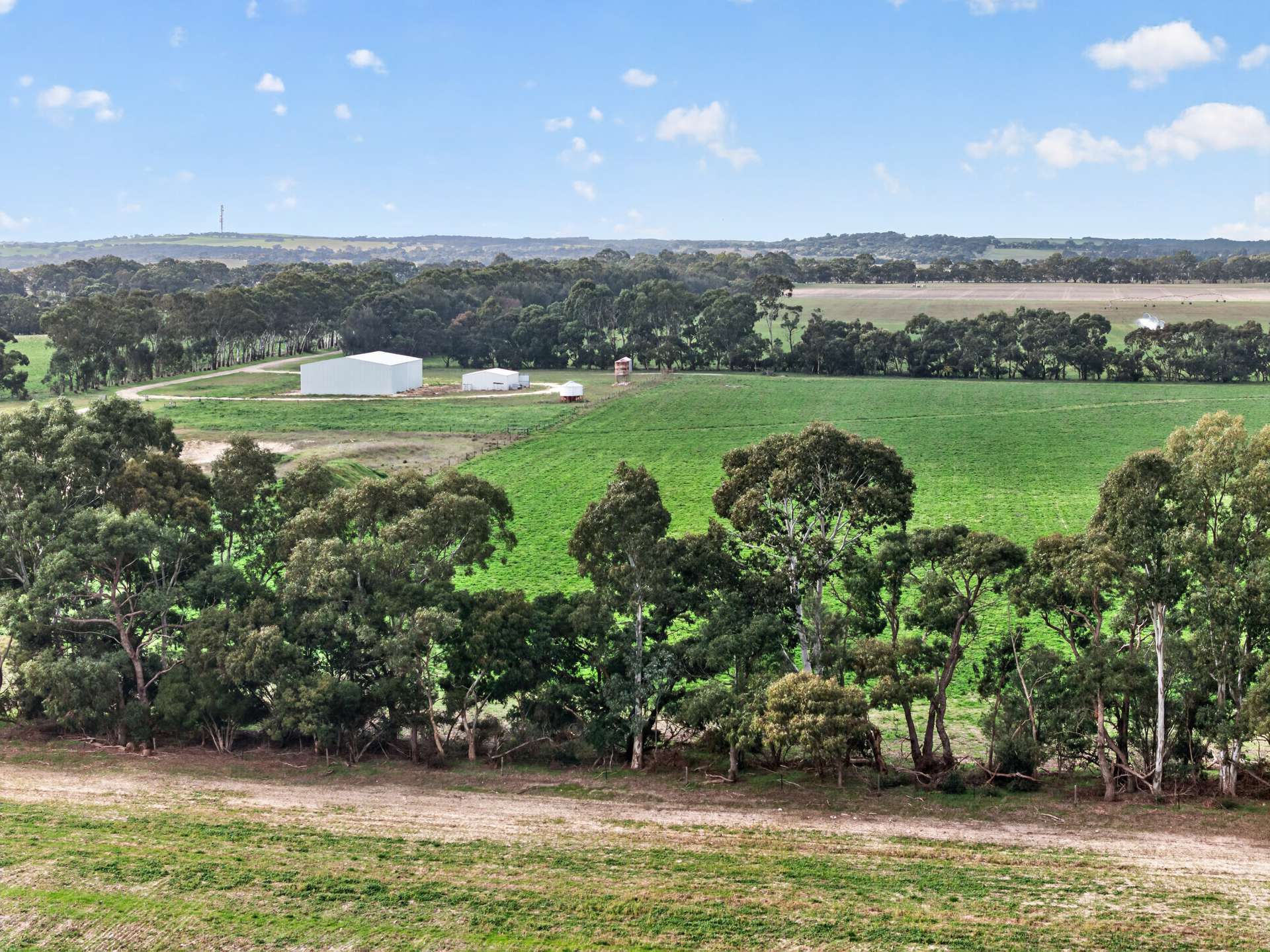 'Cairndale' Dukes Highway, Keith Auction by Farmbuy.com - image 21